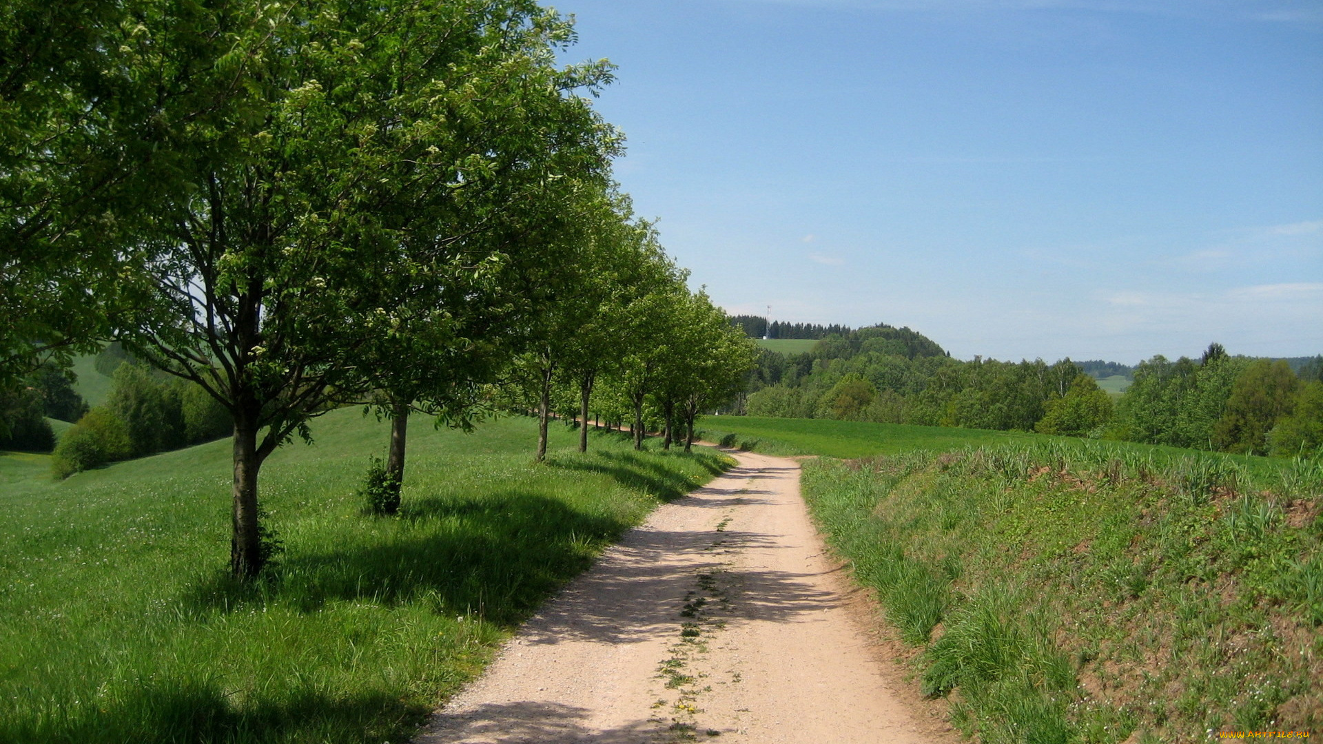 природа, дороги, деревья, дорога