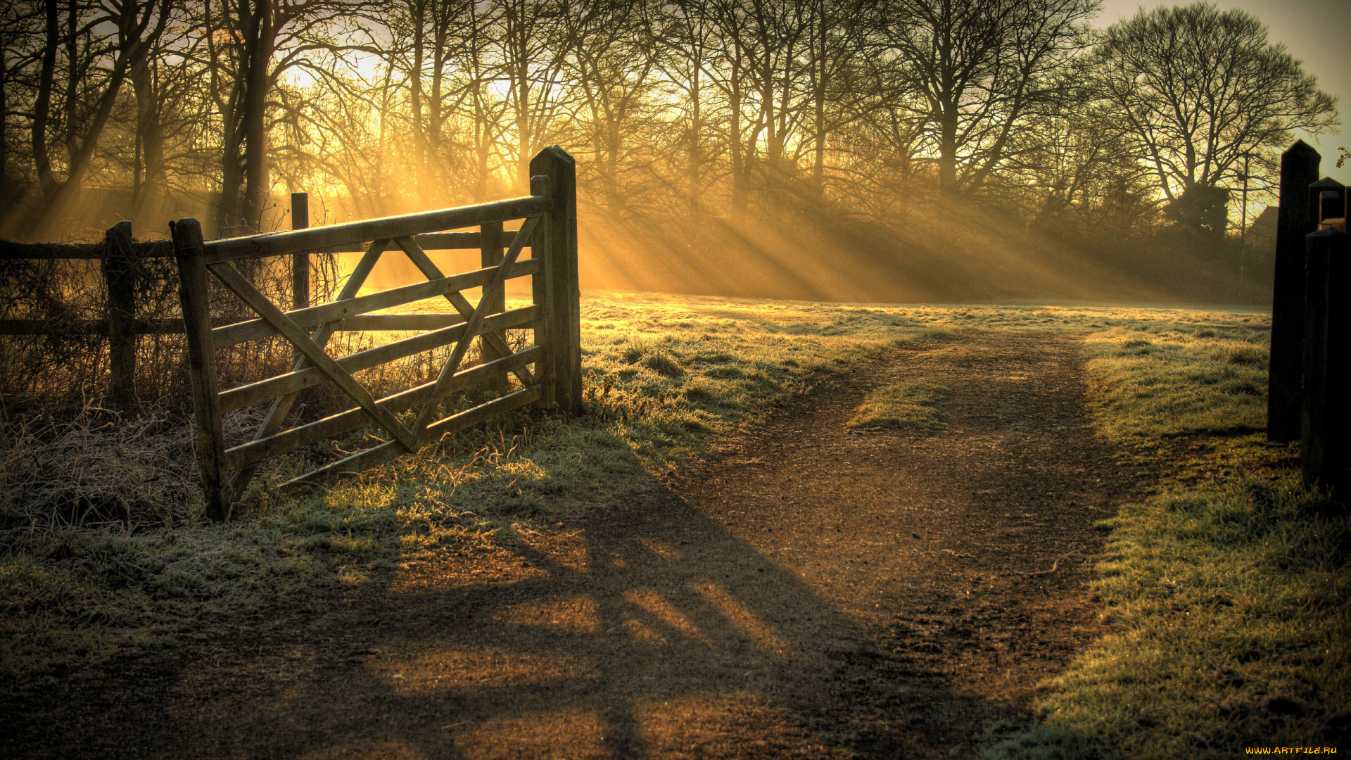 природа, дороги, забор