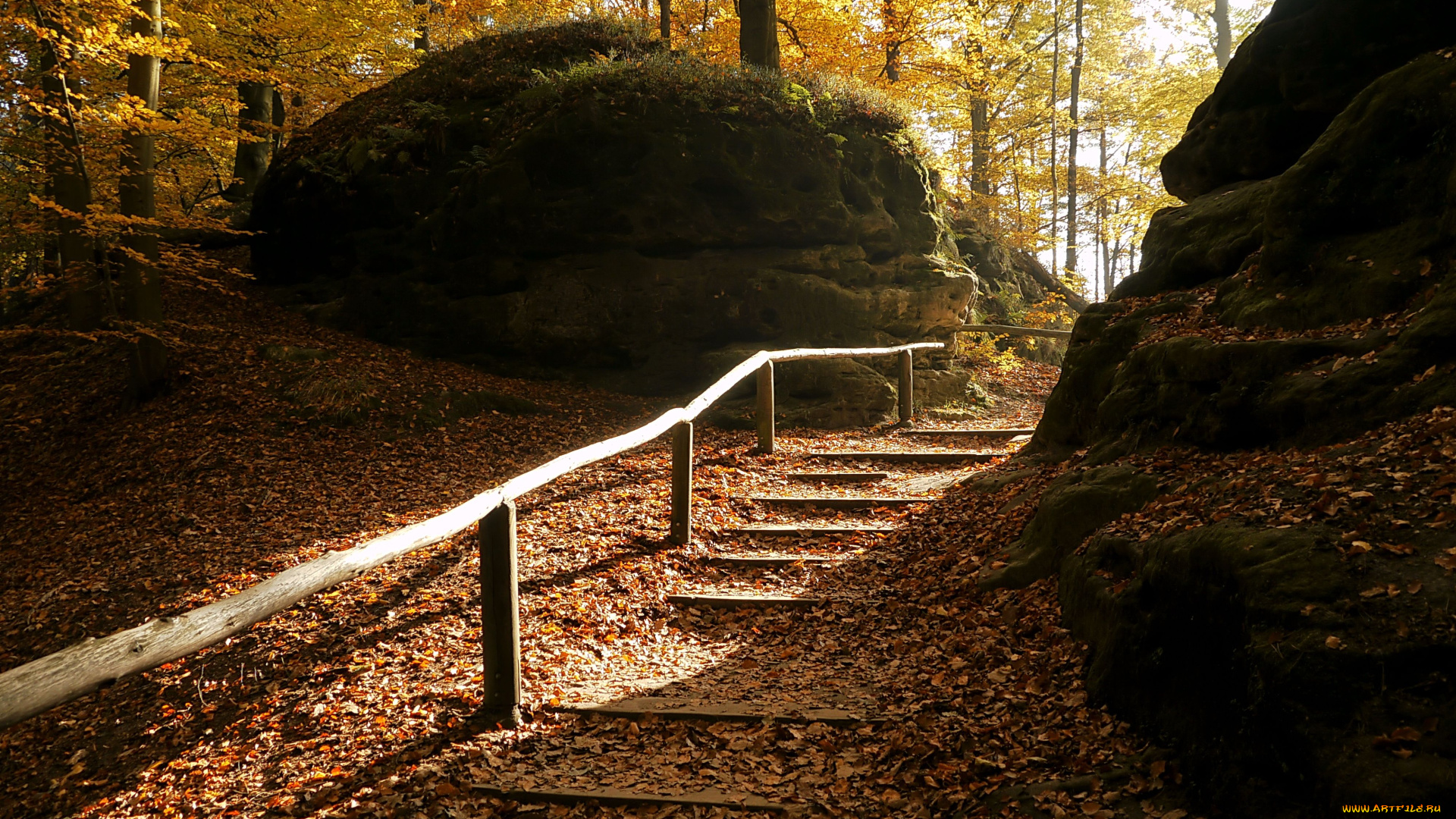 природа, парк, лестница