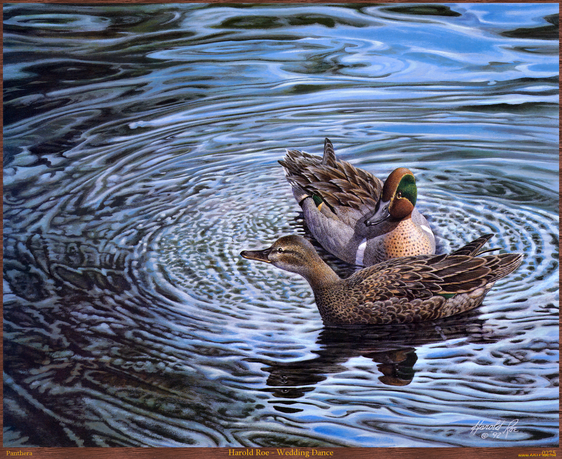 harold, roe, wedding, dance, рисованные, вода, арт, утки, парочка