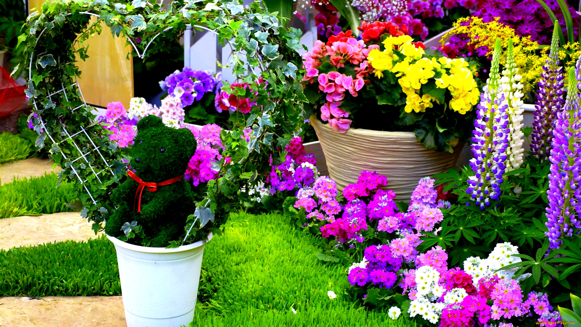 цветы, разные, вместе, первоцветы, дельфиниум