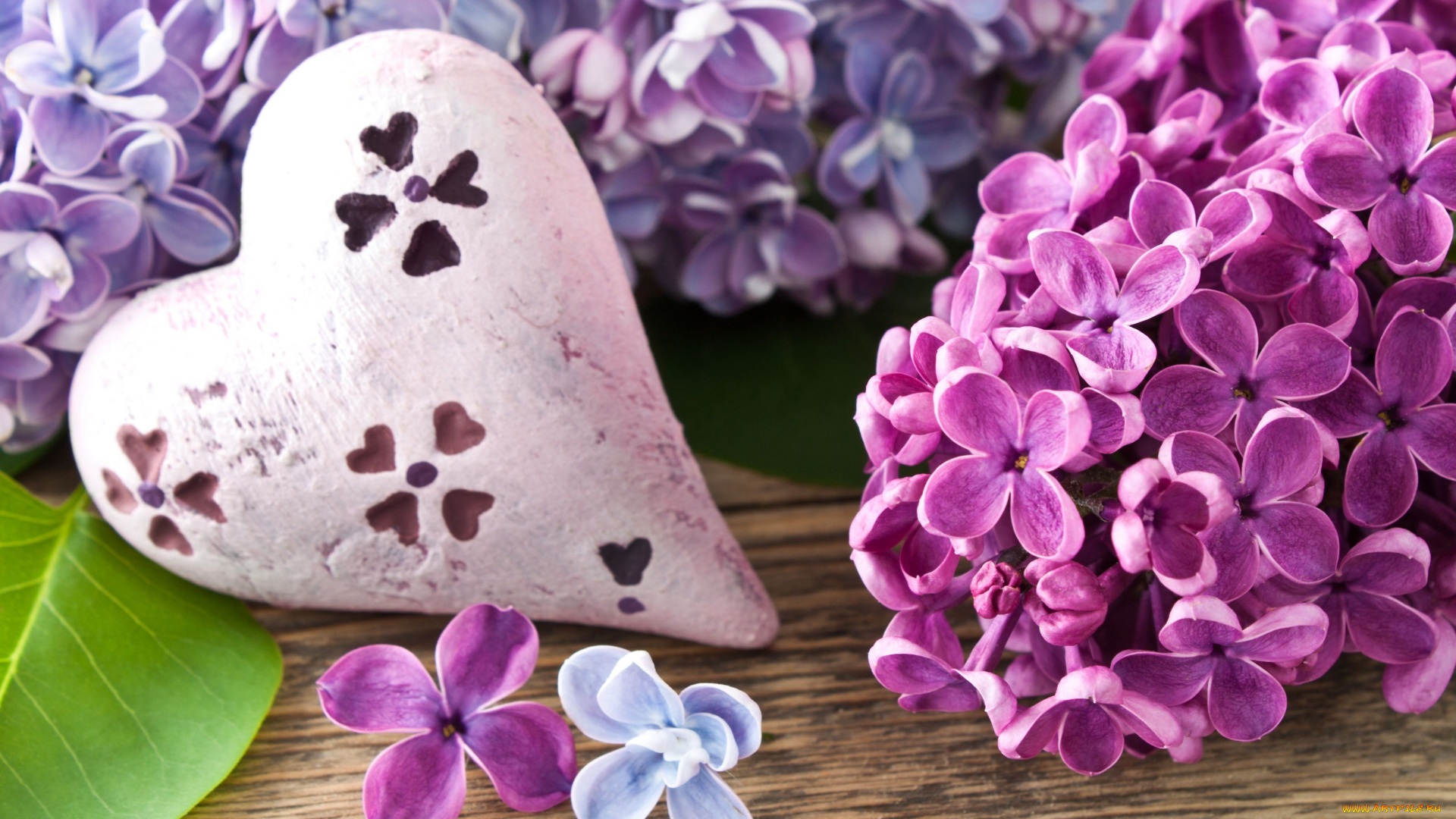 цветы, сирень, сердце, соцветия