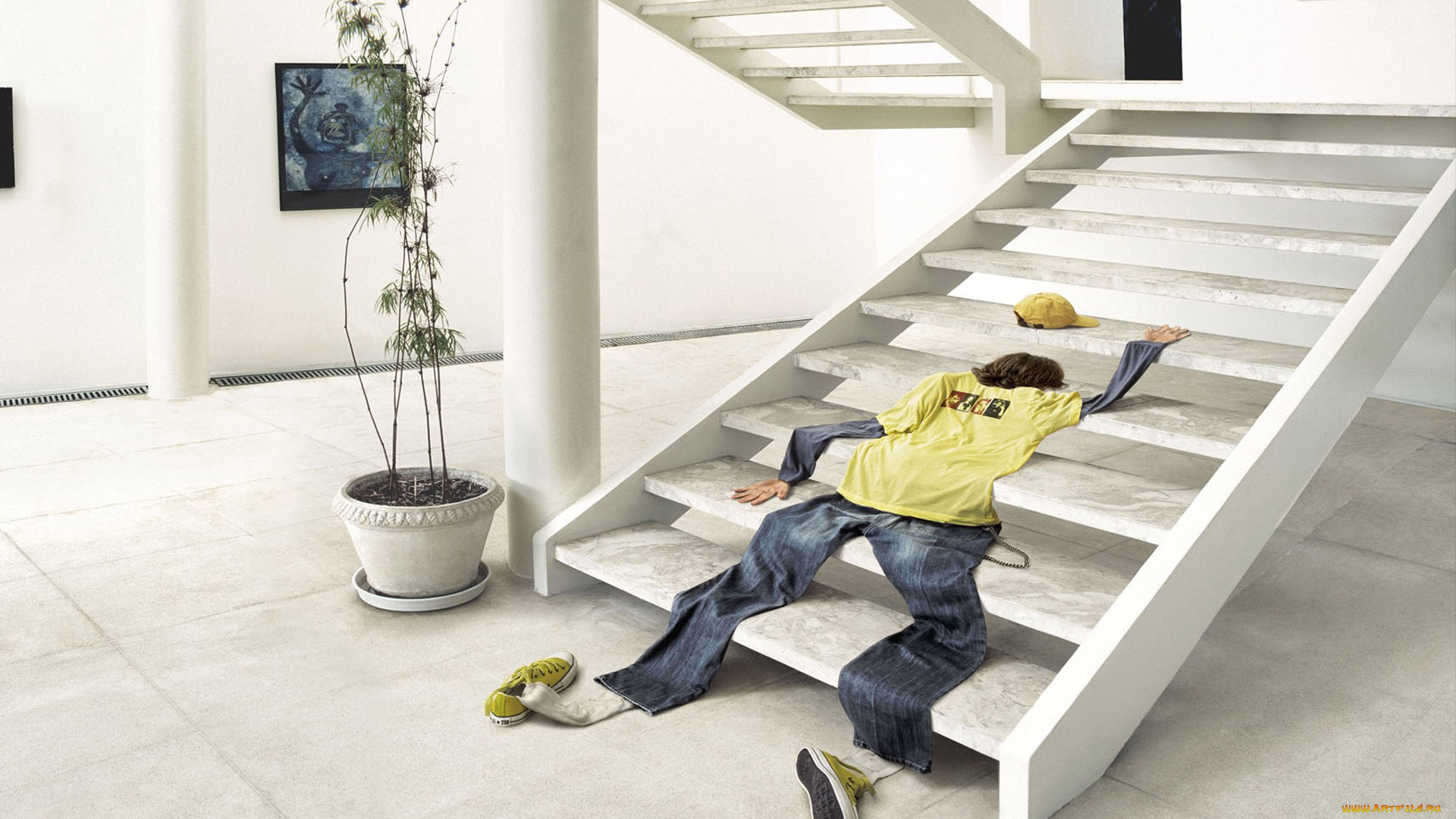 юмор, приколы, одежда, картина, цветок, лестница