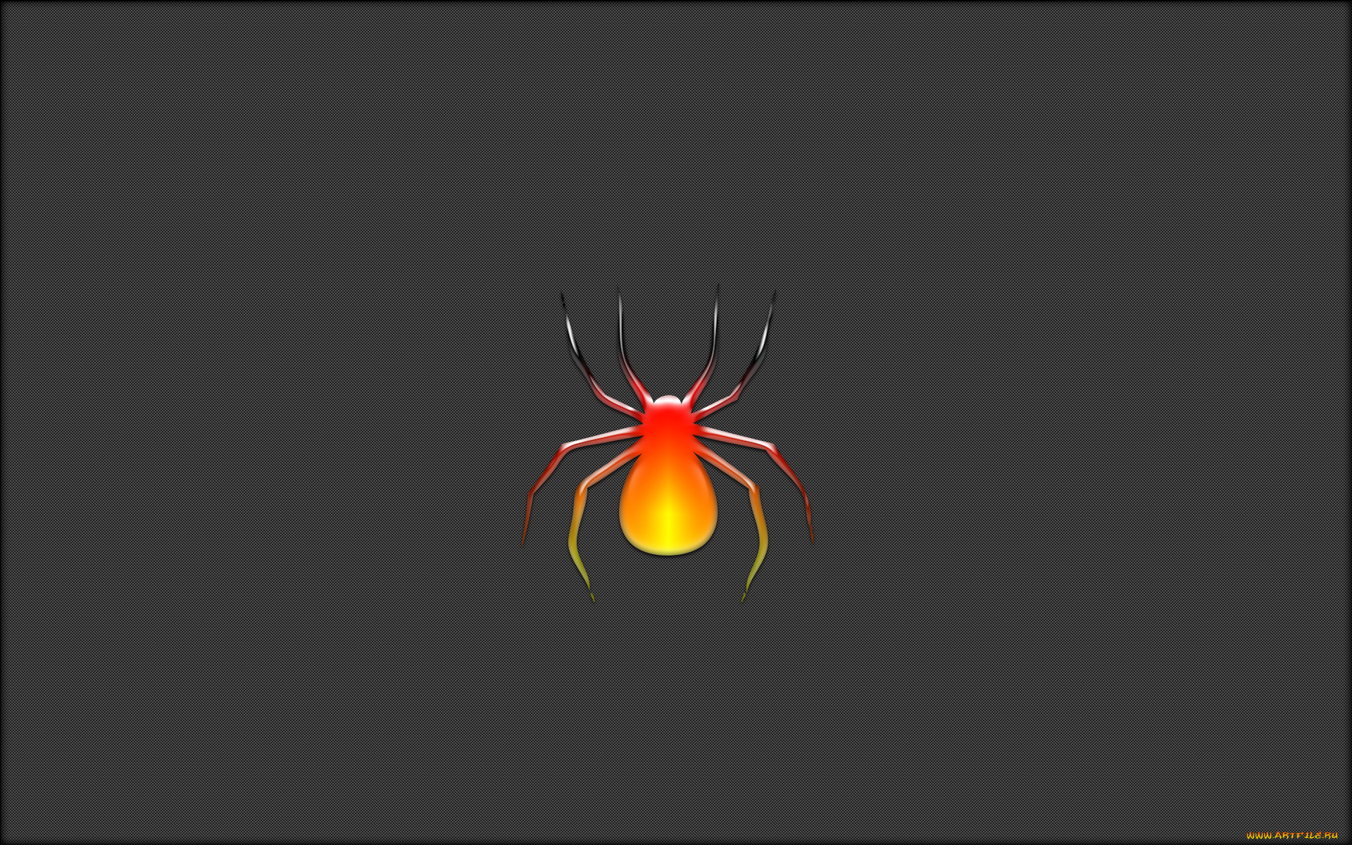 разное, надписи, логотипы, знаки, паук, черный, темный, фон