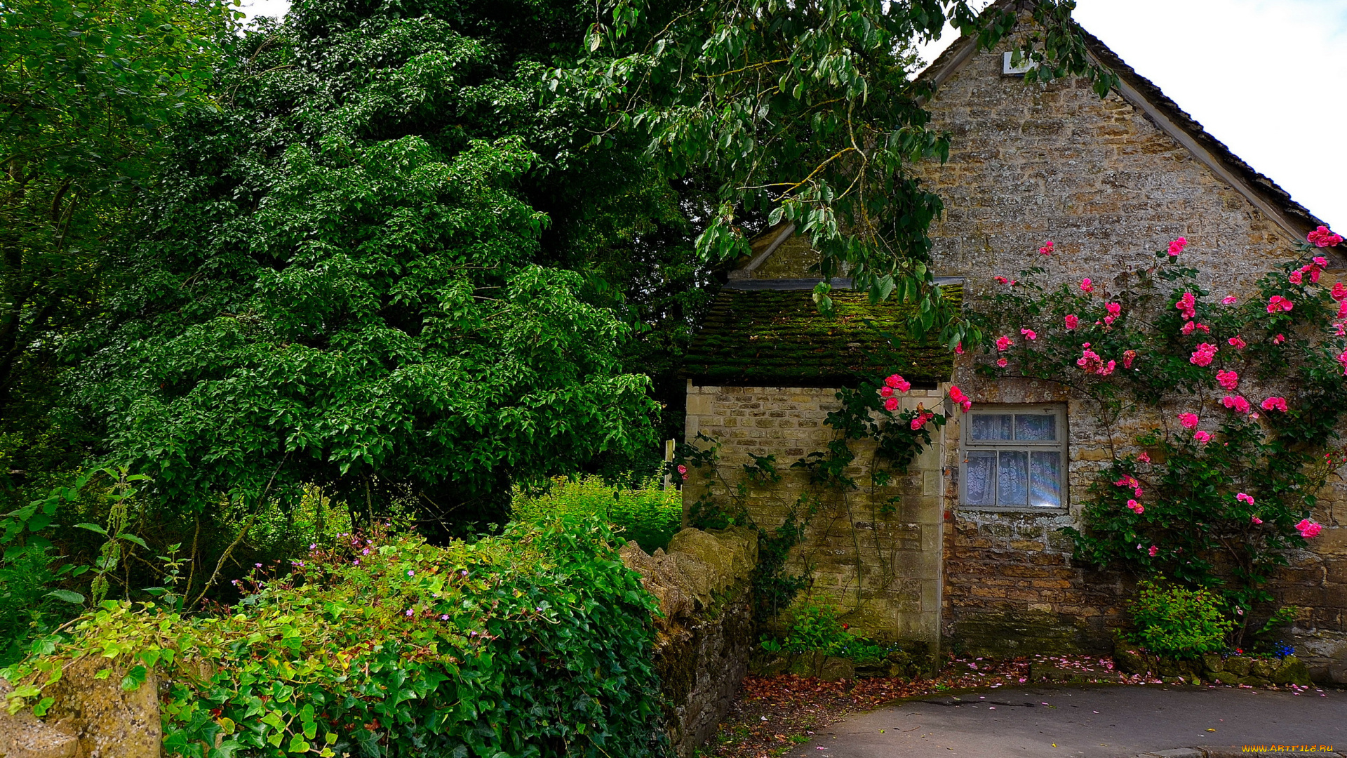 bibury, gloucestershire, англия, города, -, здания, , дома, англия, gloucestershire, bibury, кусты, цветы, дом