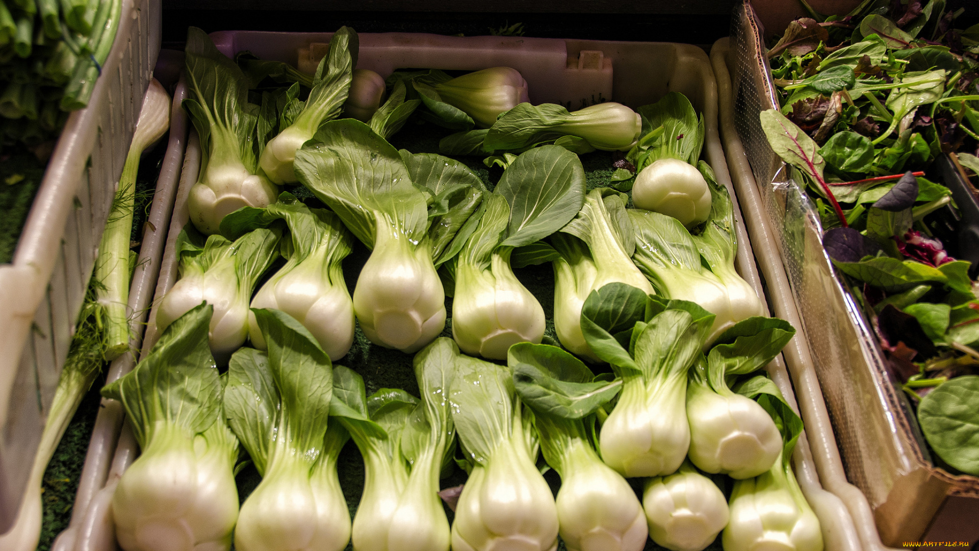 еда, овощи, прилавок