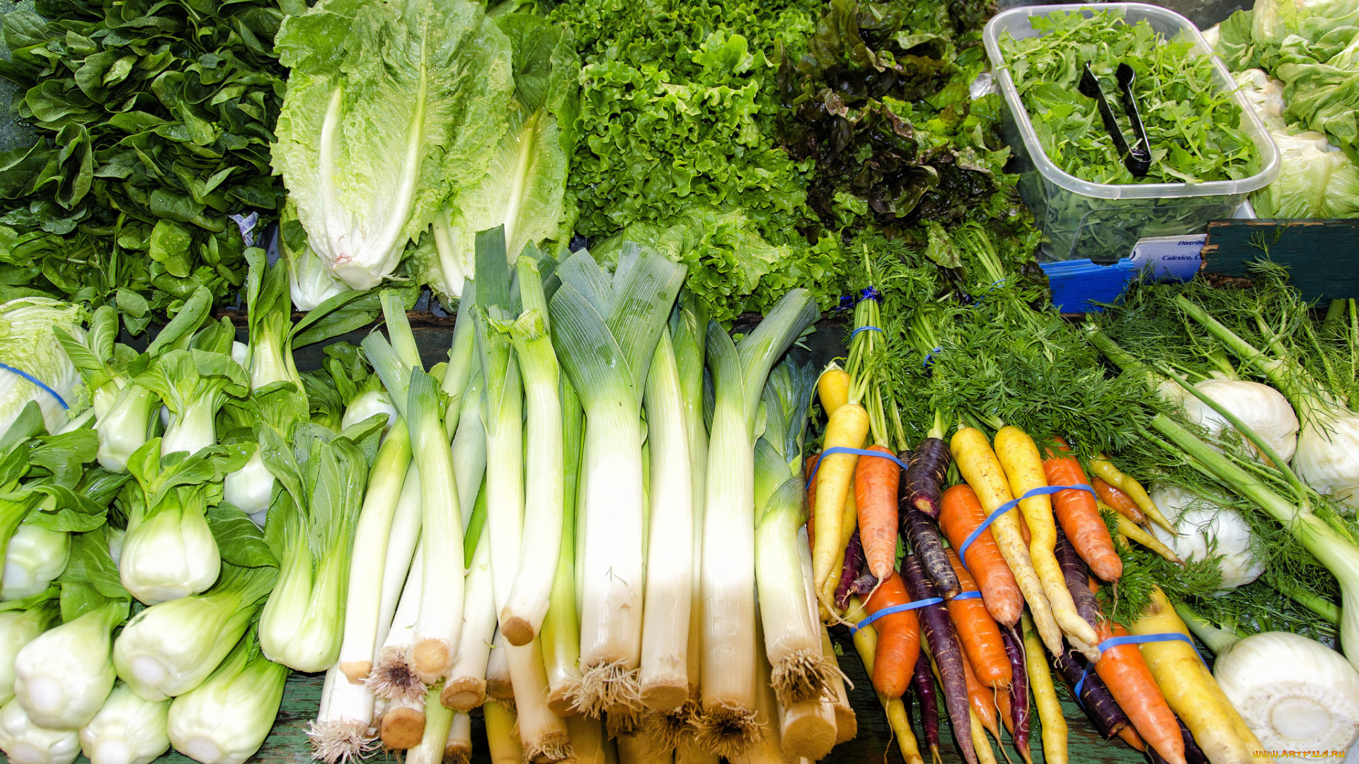 еда, овощи, прилавок