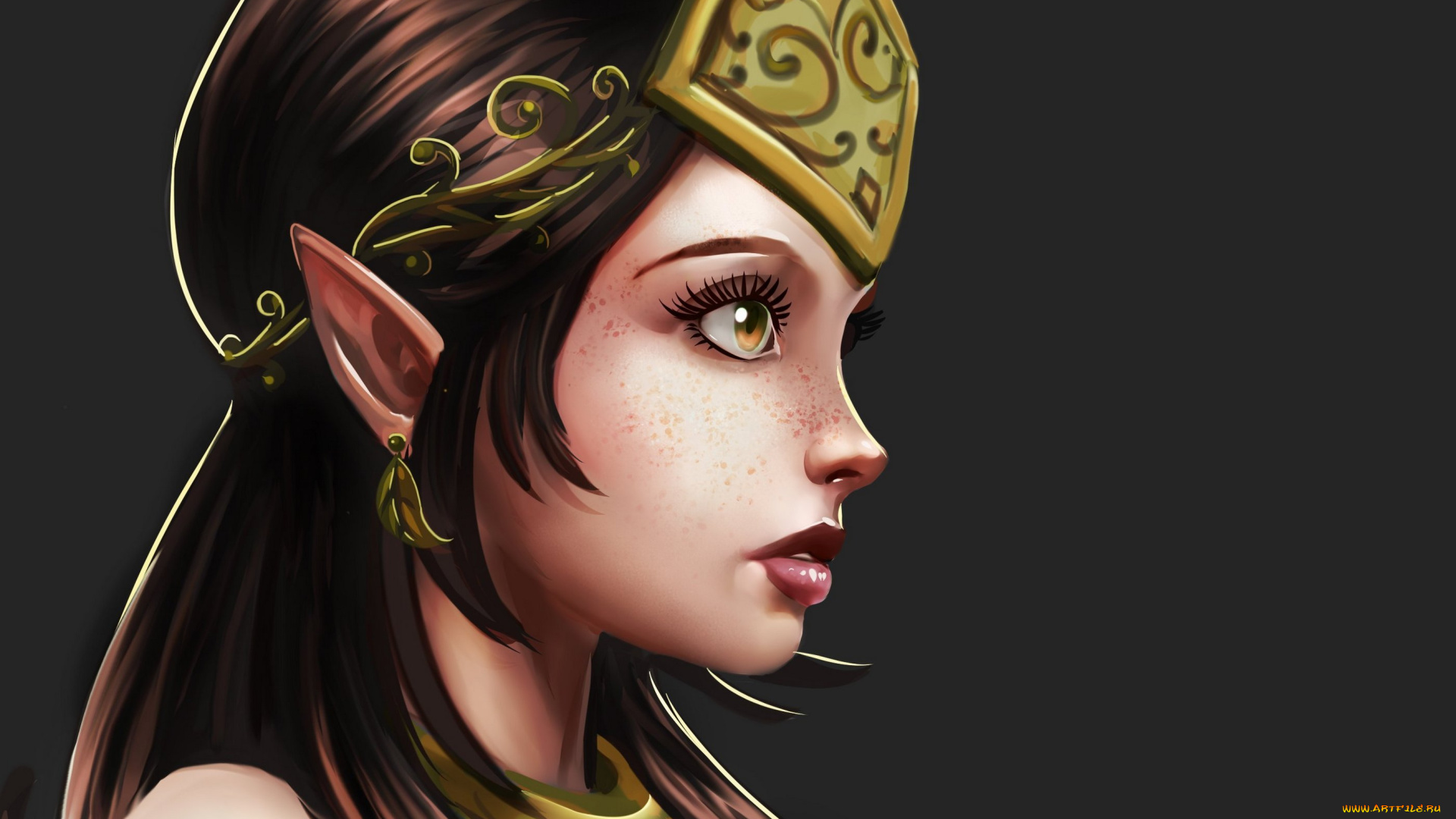фэнтези, эльфы, арт, эльфийка, профиль, уши, глаза, взгляд, серьги, фон