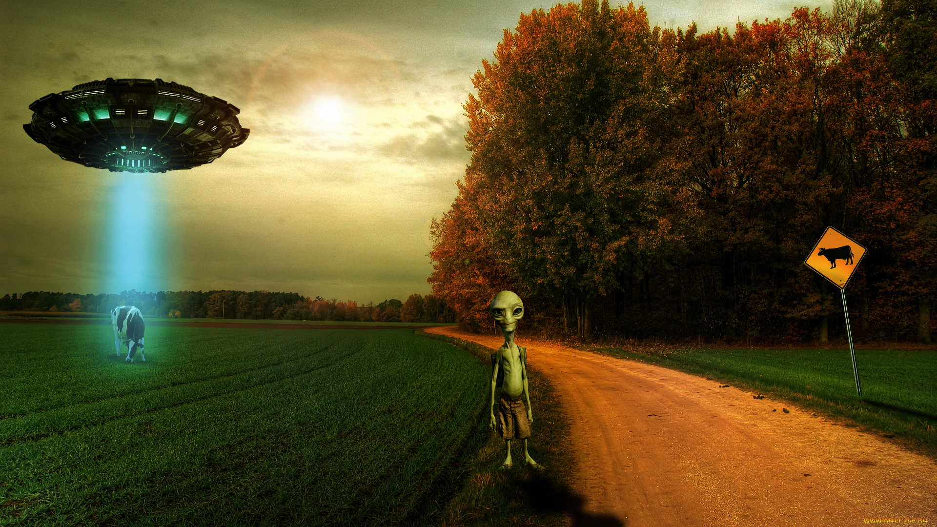 инопланетянин, юмор, и, приколы, корова, paul, пришелец, alien, летающая, тарелка