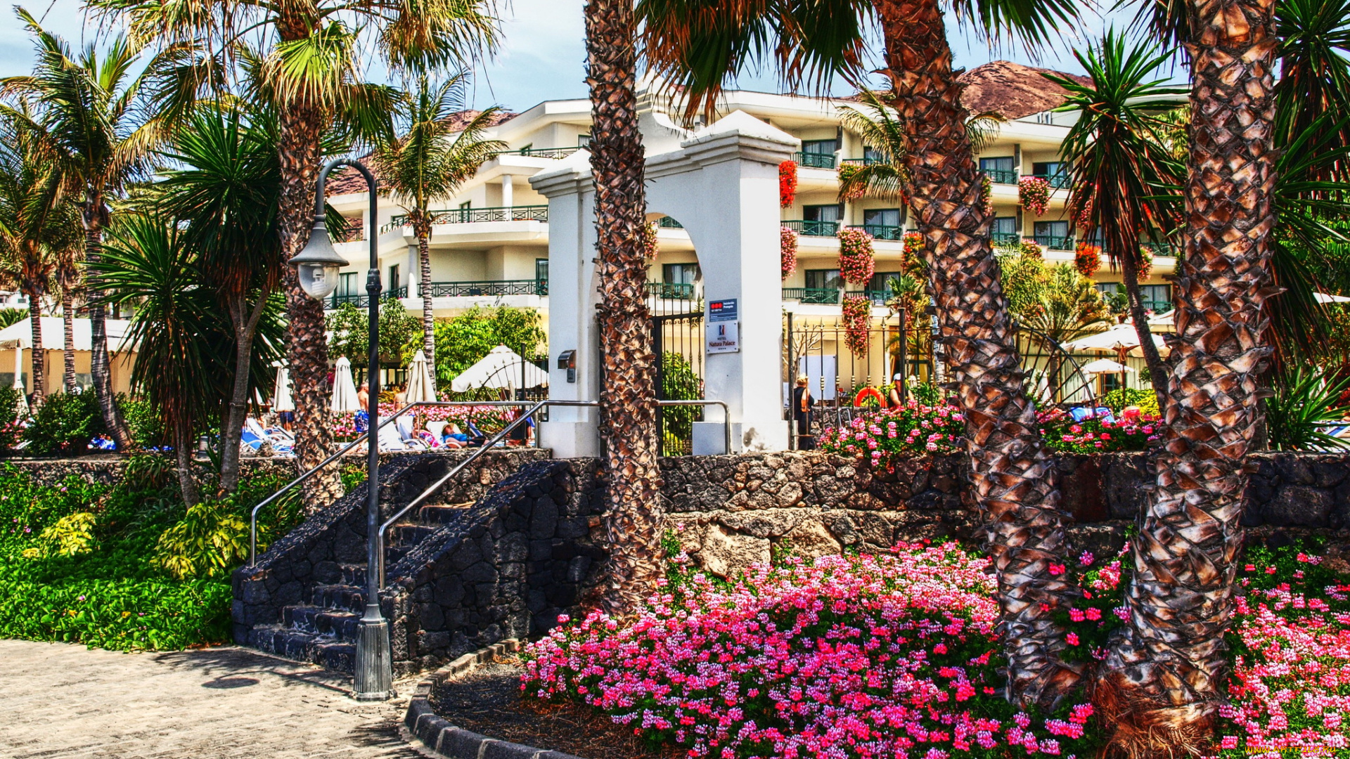 испания, , канары, playa, blanca, города, -, здания, , дома, канары, испания, цветы, улица, дома