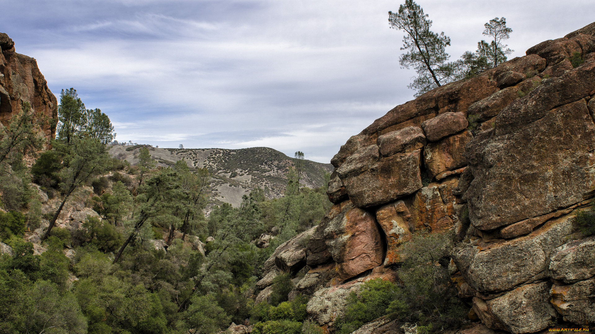 природа, горы, облака, лес, скалы