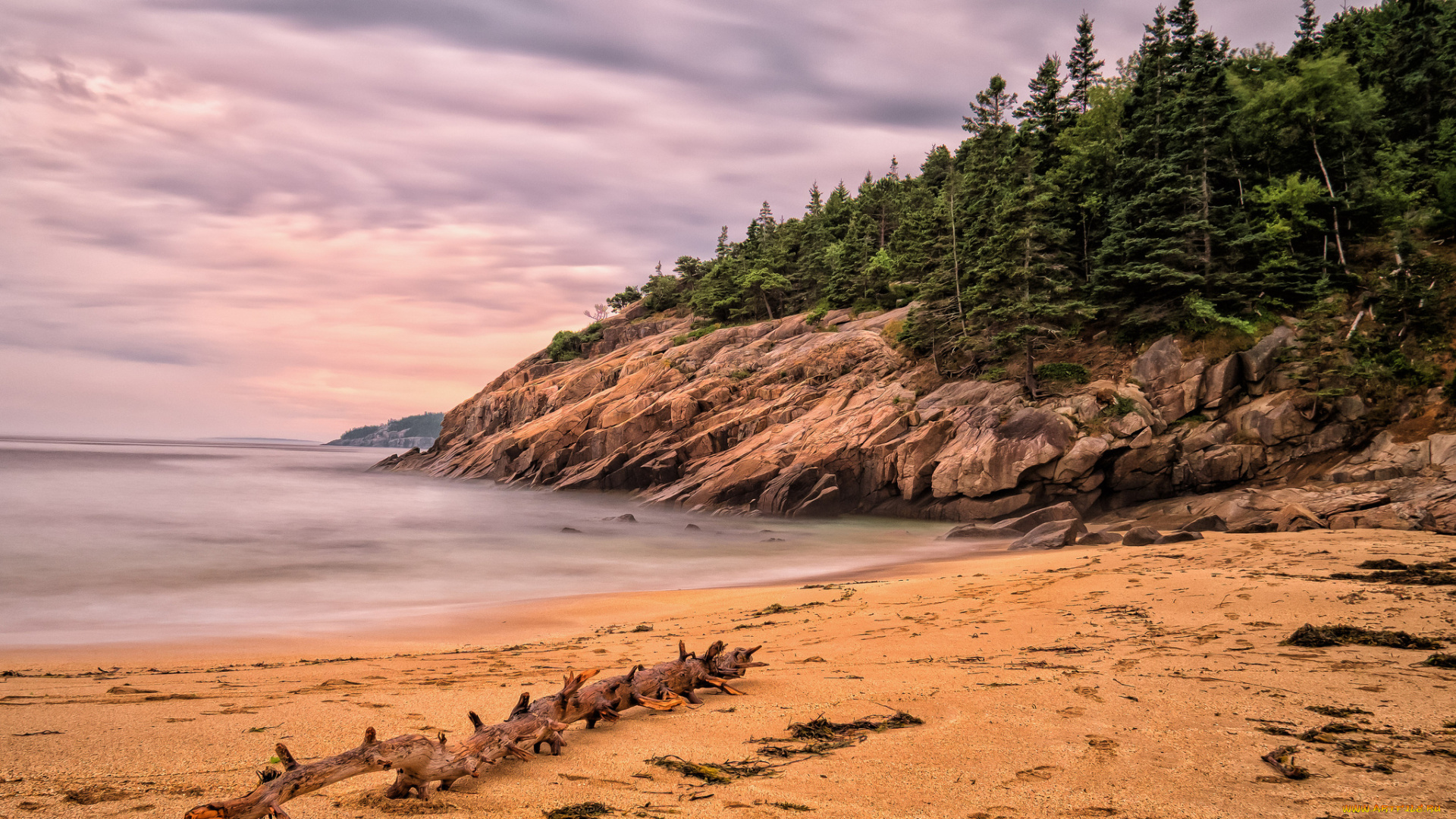 природа, побережье, тучи, лес, скалы, пляж