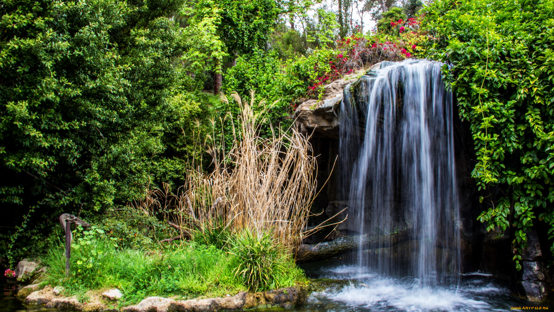 природа, водопады, водопад, калифорния, сша, кусты