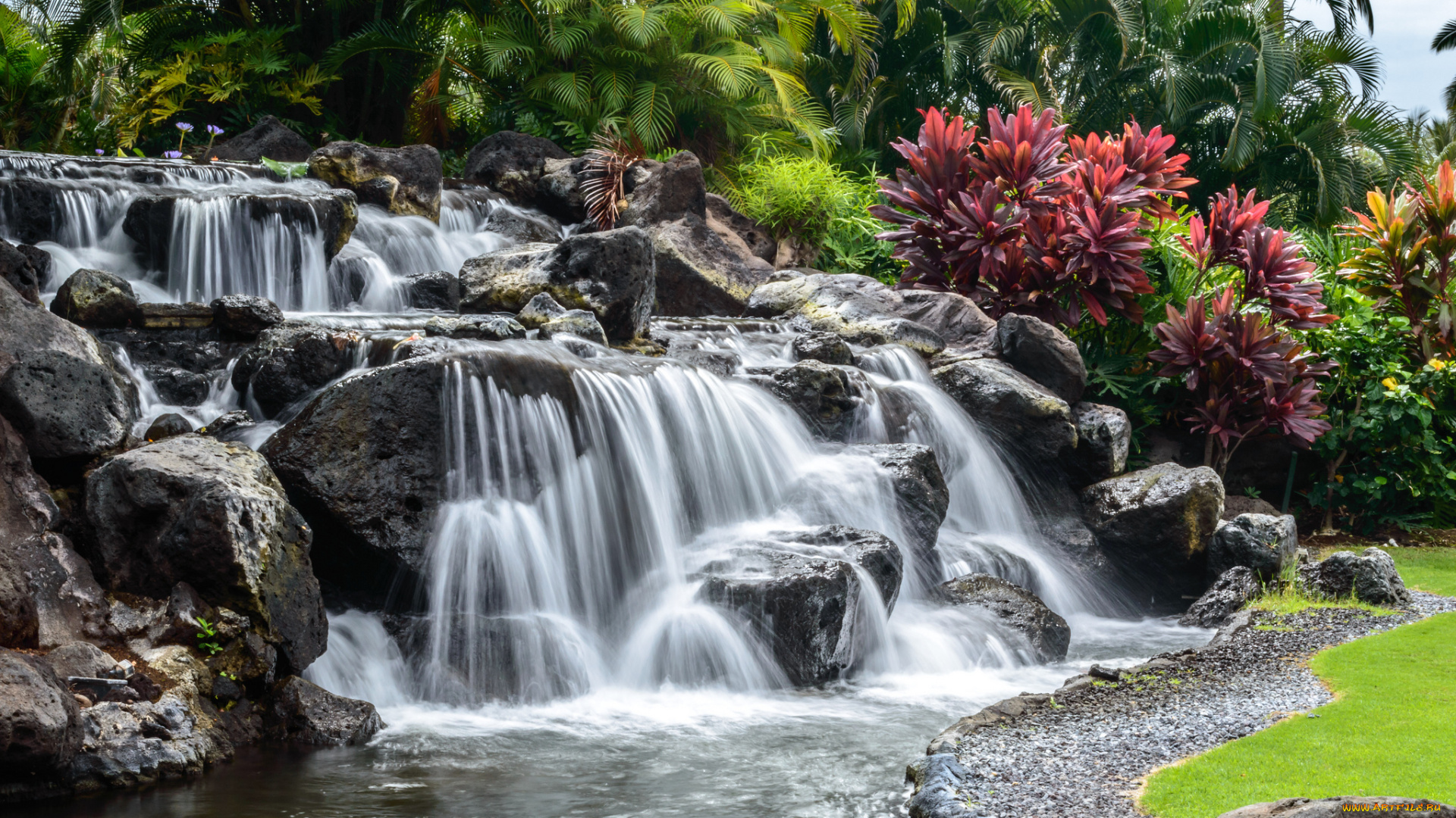 природа, водопады, водопад, камни, цветы, деревья