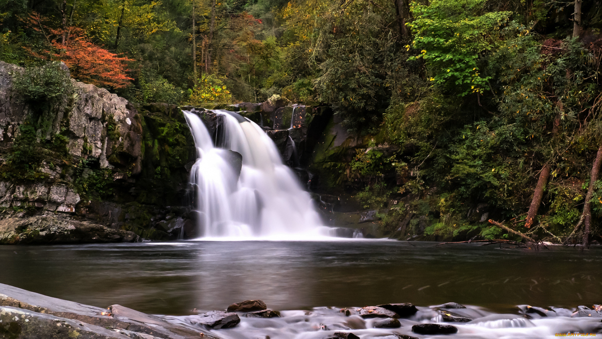 природа, водопады, водопад, обрыв, река, лес