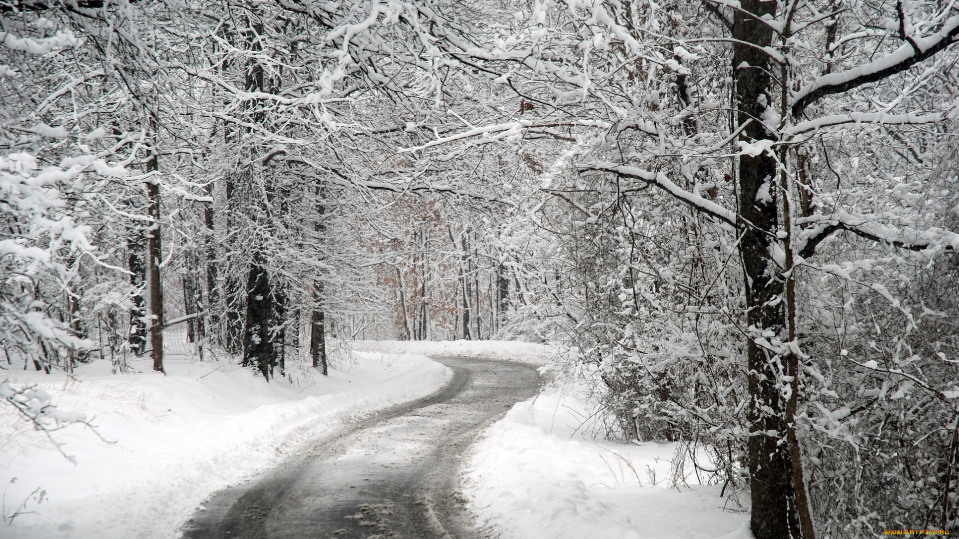 природа, зима, грязь, слякоть, дорога, деревья, снег