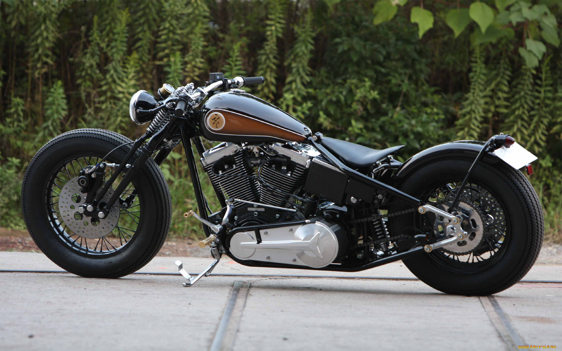 мотоциклы, customs, motorcycle