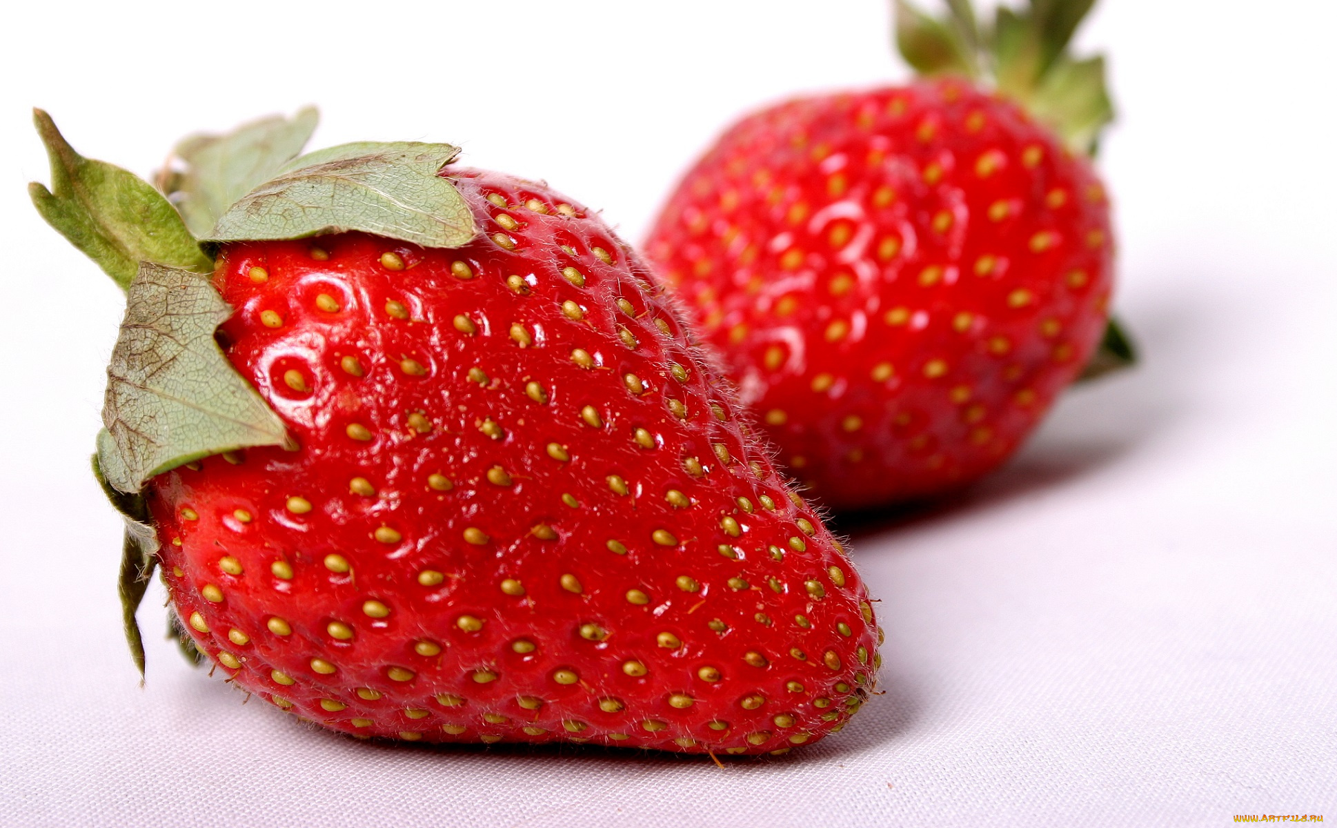 еда, клубника, , земляника, красная, белый, фон