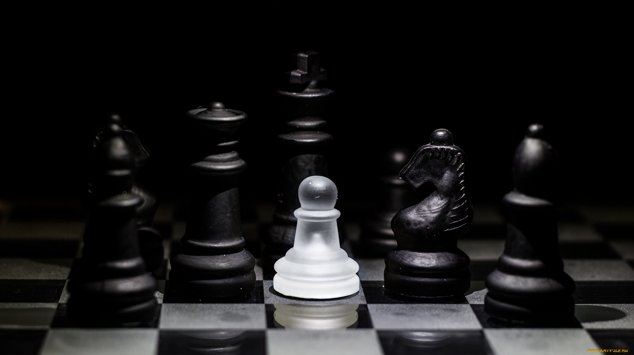 разное, настольные, игры, , азартные, игры, шахматы