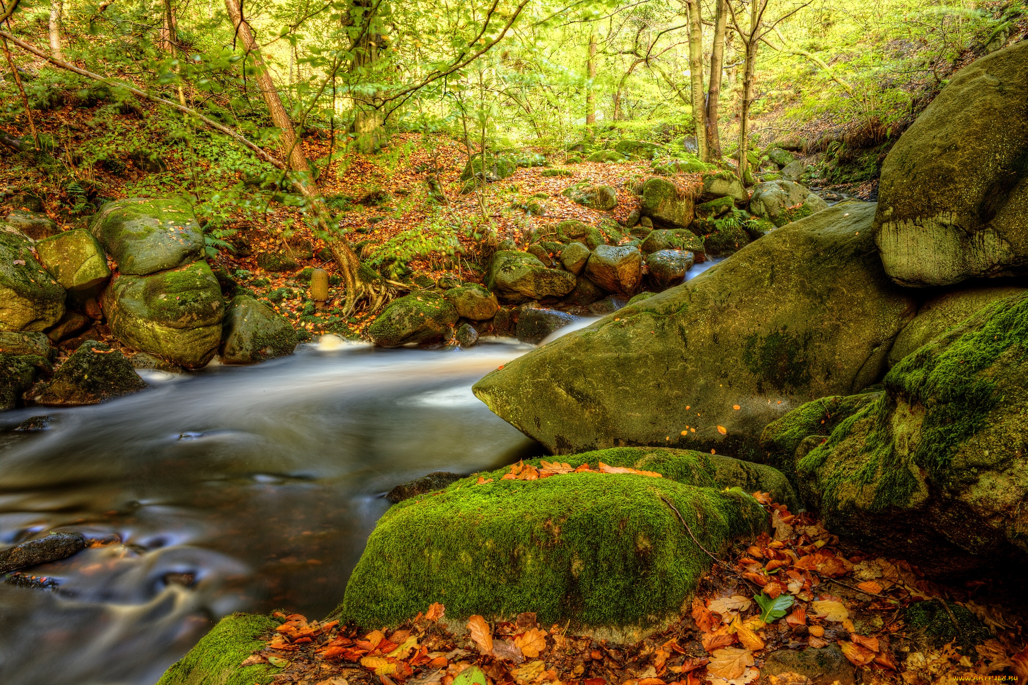 природа, реки, озера, мох, лес, камни
