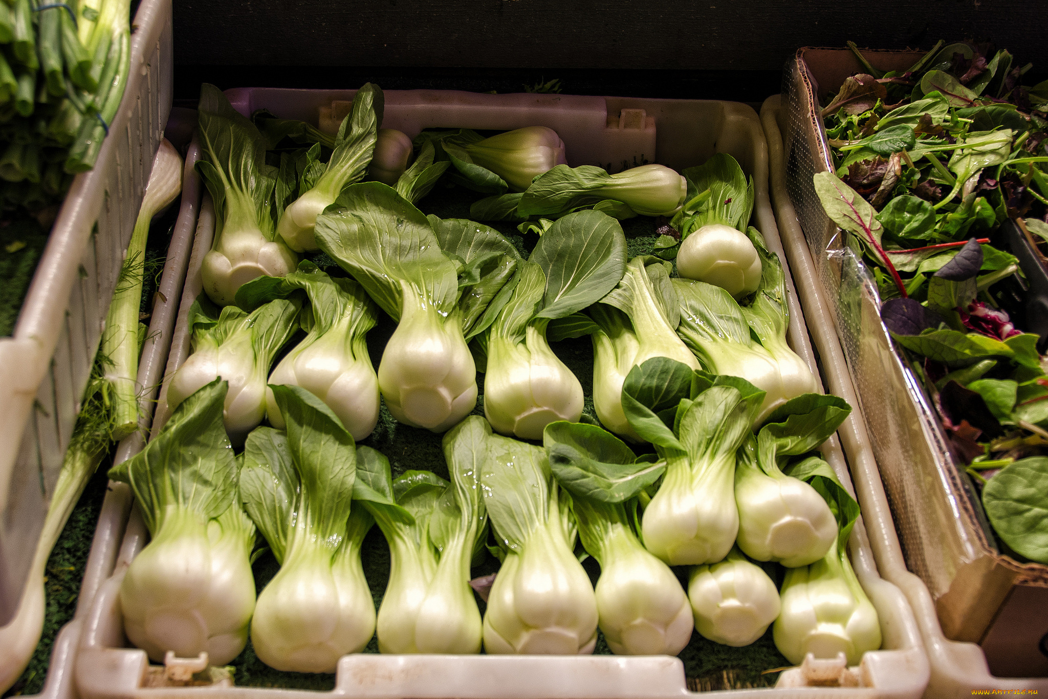 еда, овощи, прилавок