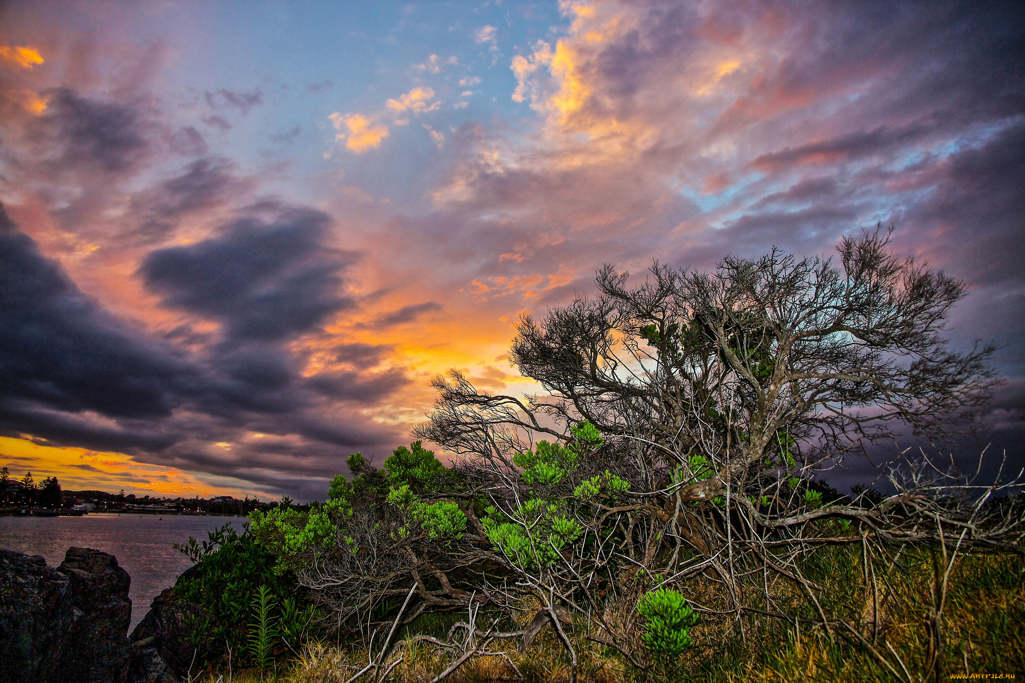природа, восходы, закаты, тучи, растительность, холм