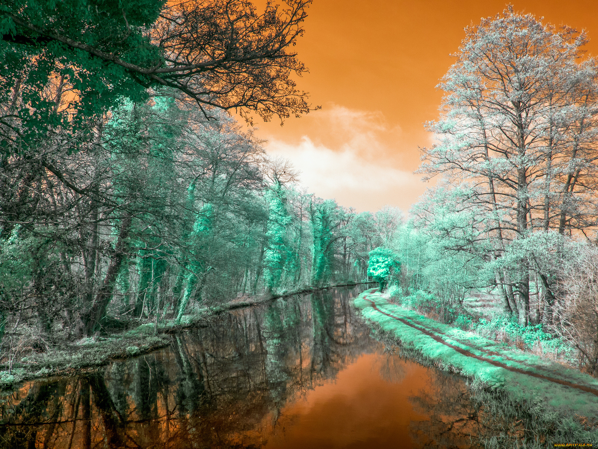 природа, реки, озера, лес, река, осень