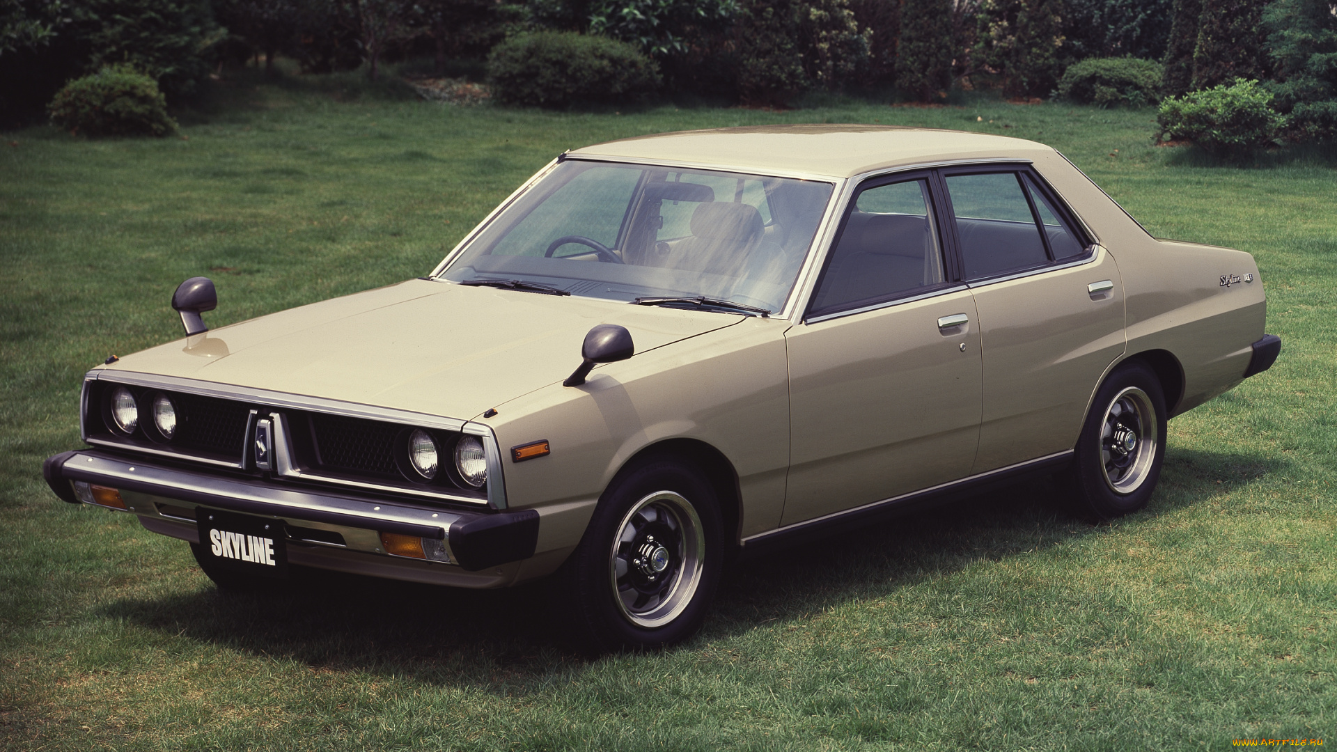 автомобили, nissan, datsun