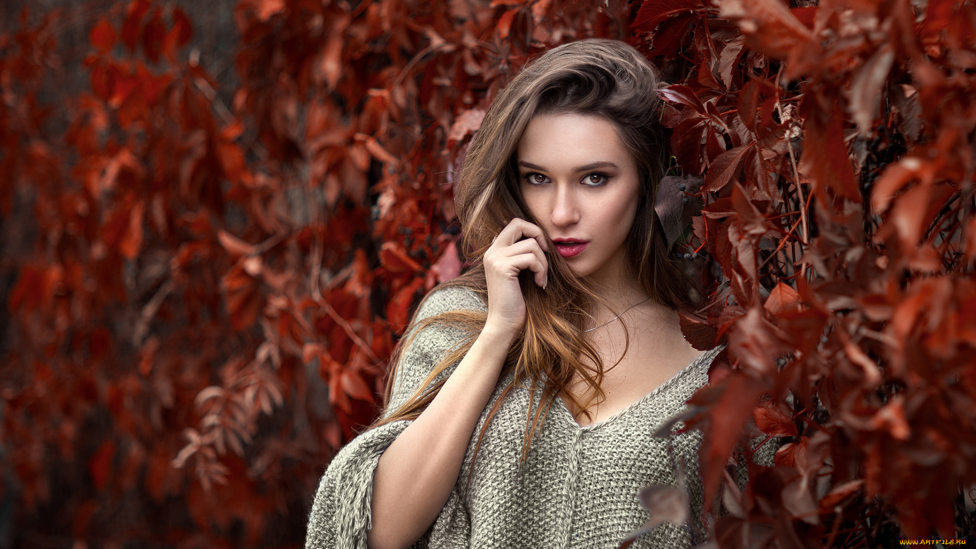 девушки, -unsort, , брюнетки, , шатенки, взгляд, лицо