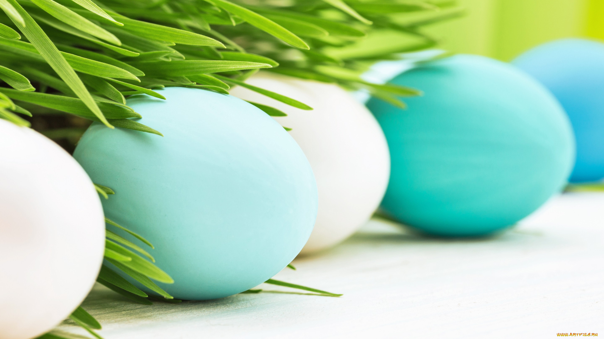 праздничные, пасха, happy, цветы, easter, весна, трава, eggs, яйца, flowers, spring, decoration