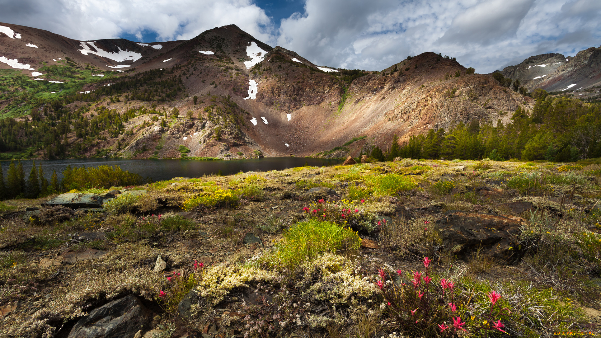 природа, реки, озера, река, лес