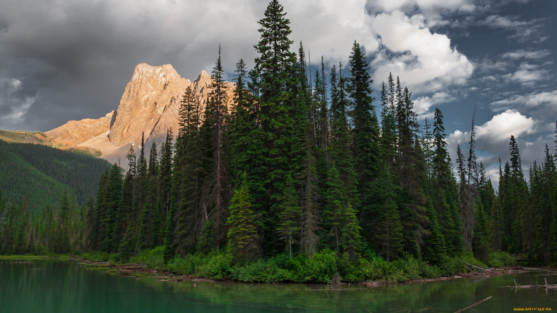 природа, реки, озера, река, лес