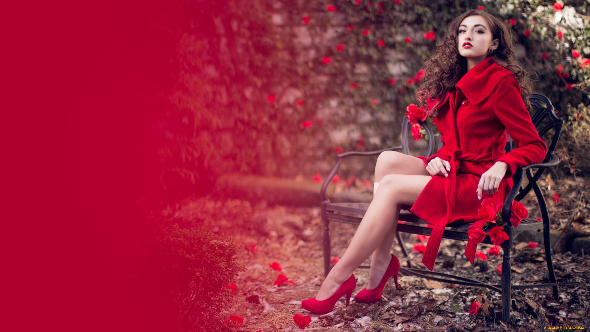 sarah, miller, девушки, -unsort, , брюнетки, , шатенки, поза, девушка, фон, sarah, miller