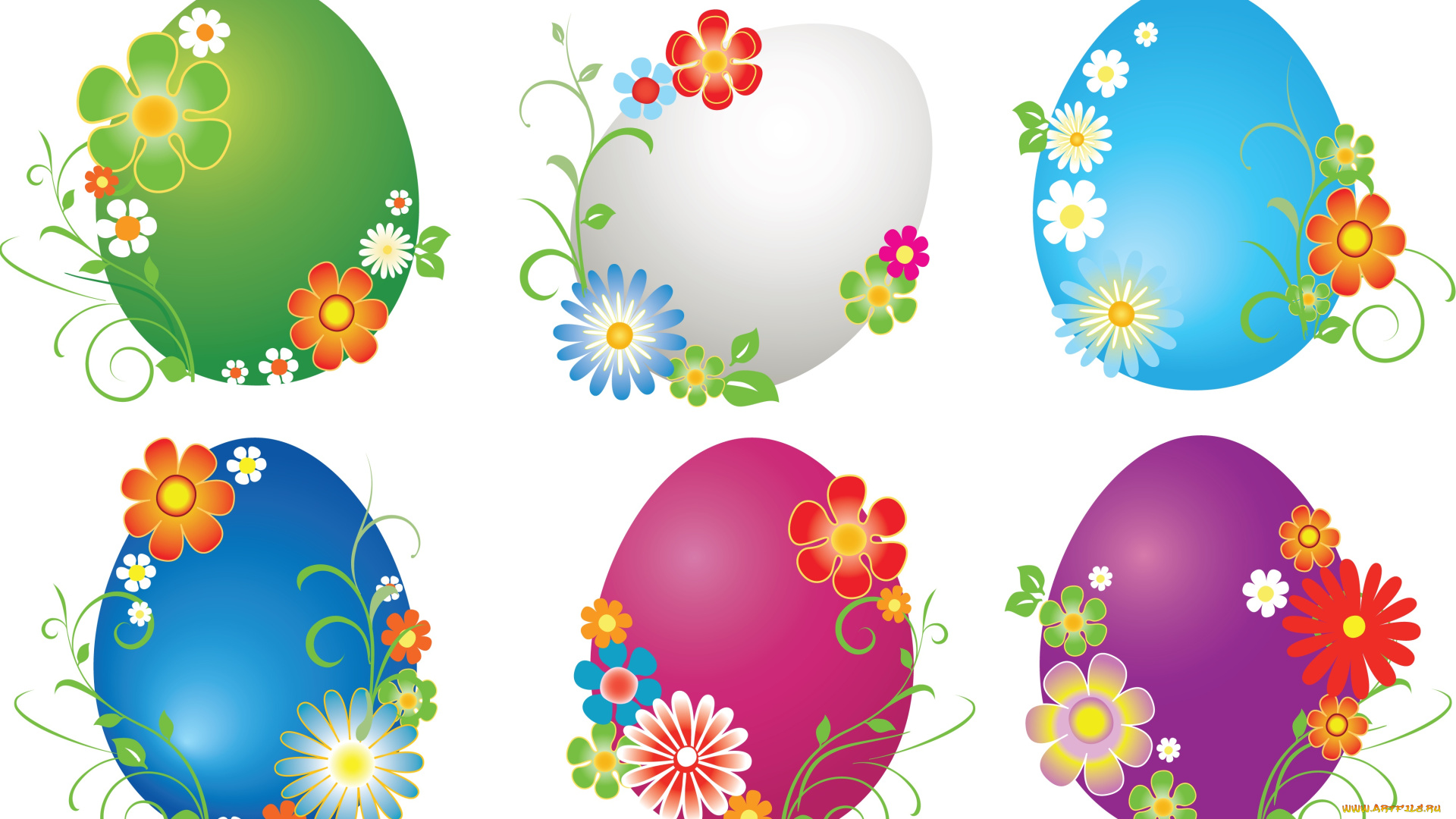 векторная, графика, цветы, , flowers, фон, цветы