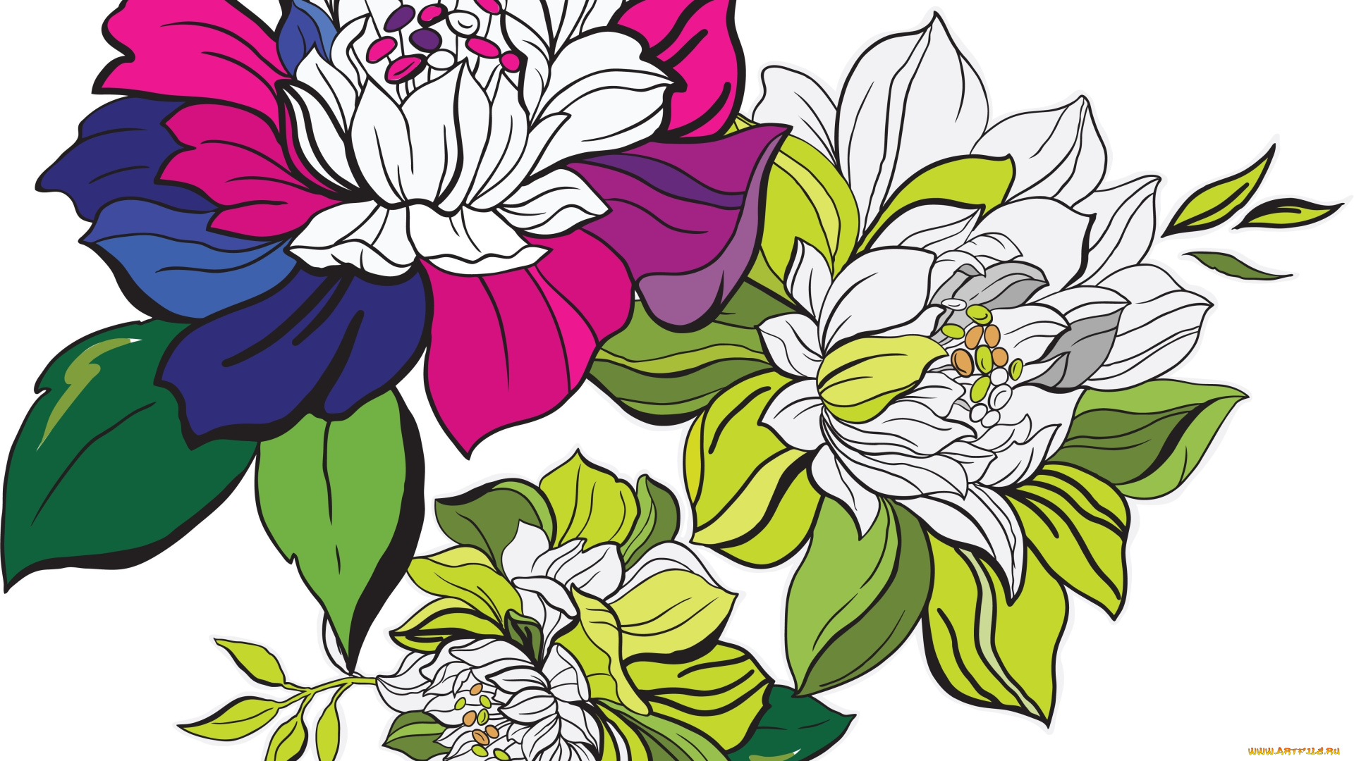 векторная, графика, цветы, , flowers, фон, цветы