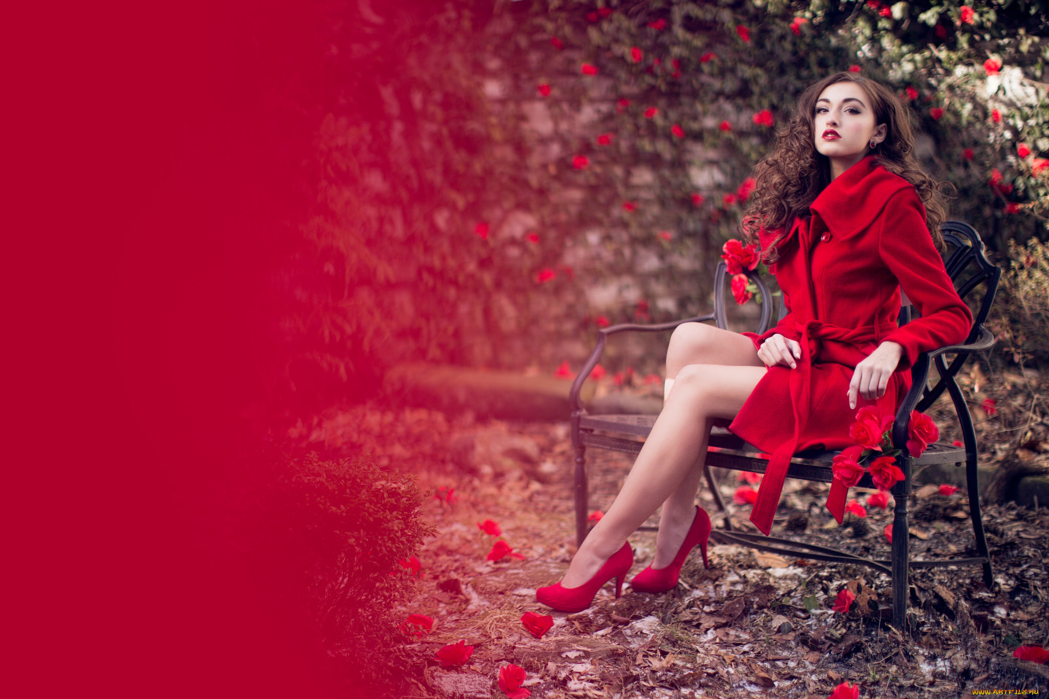 sarah, miller, девушки, -unsort, , брюнетки, , шатенки, поза, девушка, фон, sarah, miller