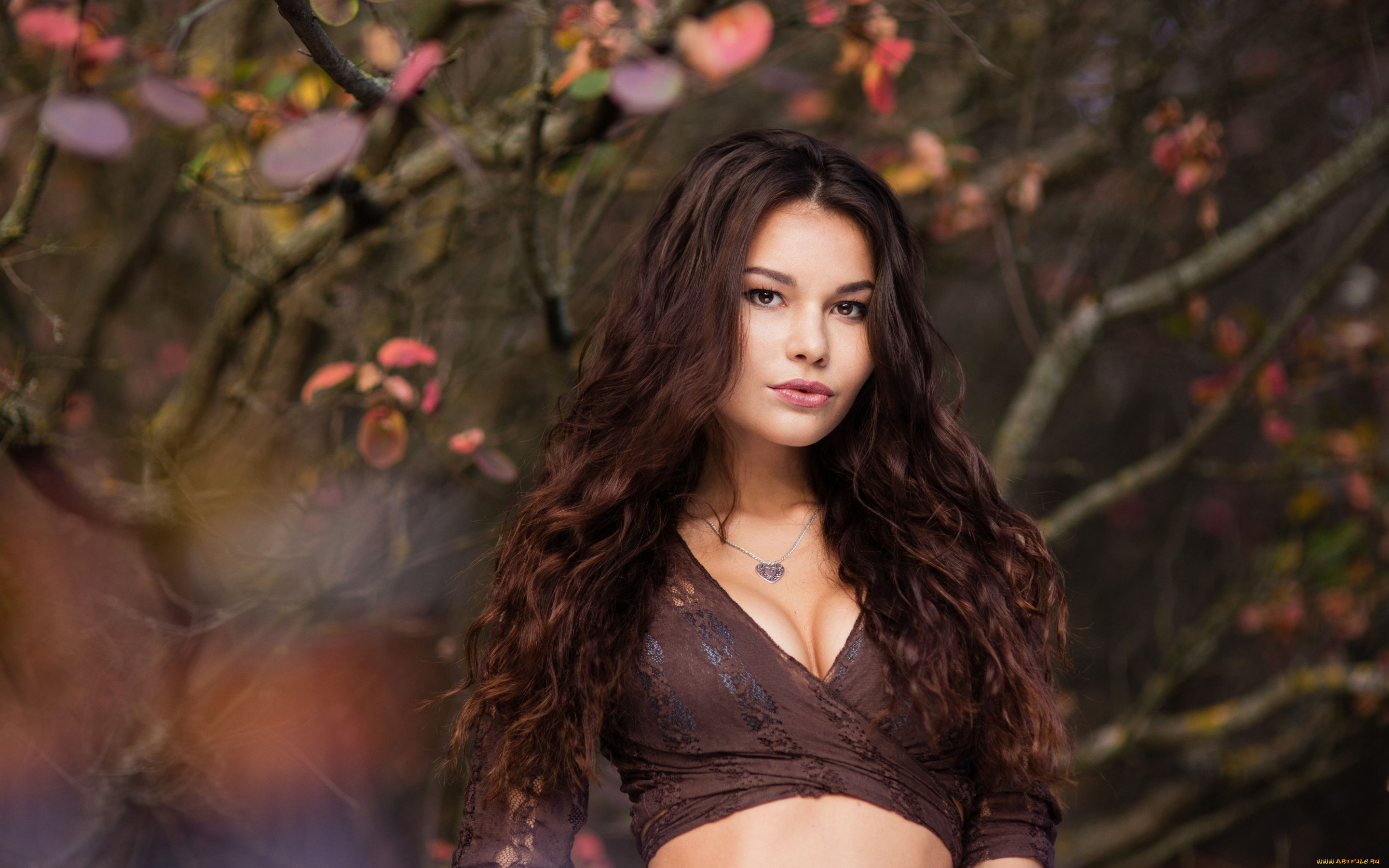 девушки, -unsort, , брюнетки, , шатенки, шатенка