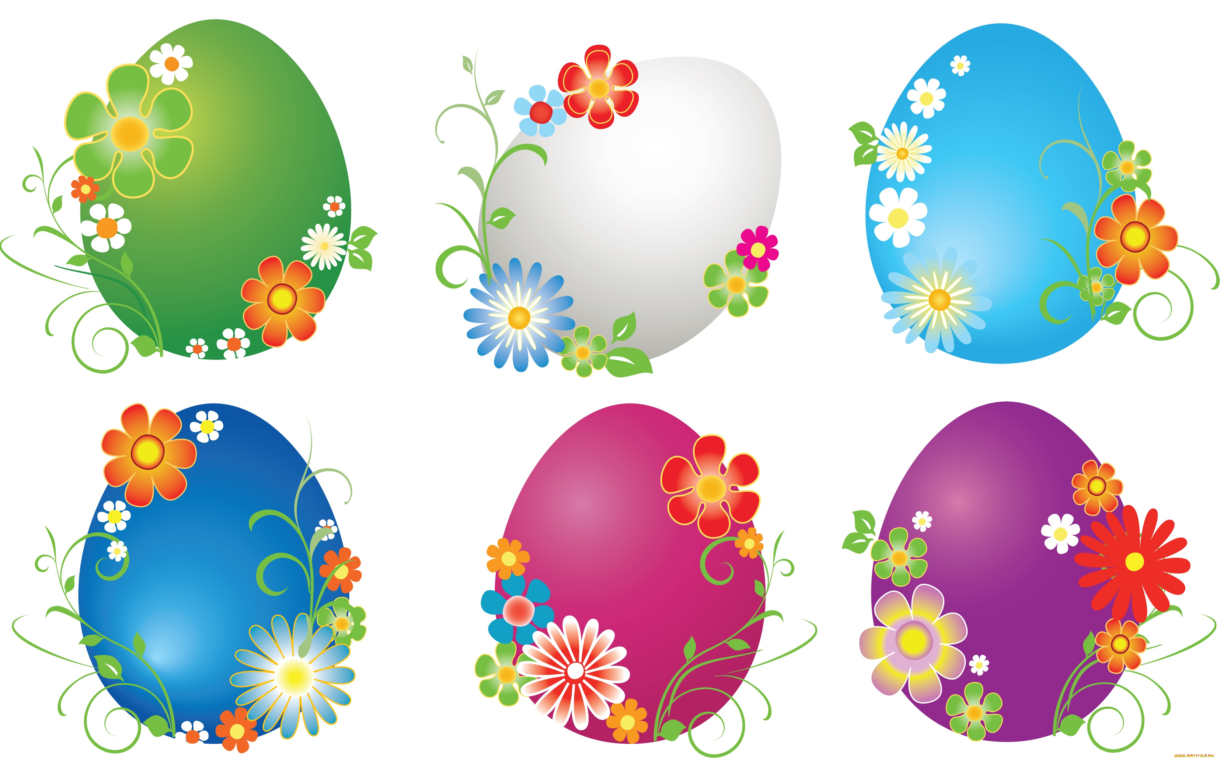 векторная, графика, цветы, , flowers, фон, цветы