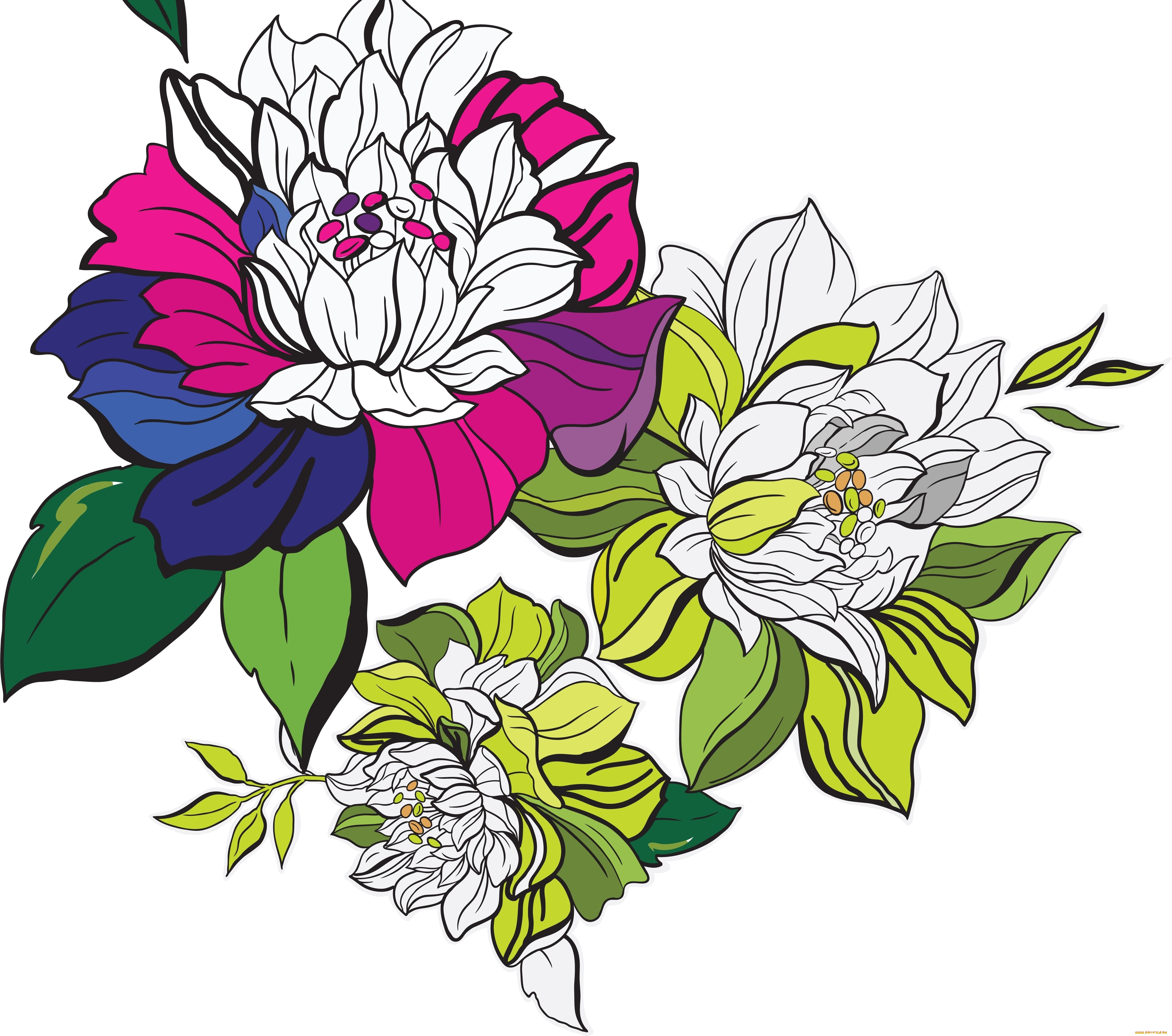 векторная, графика, цветы, , flowers, фон, цветы