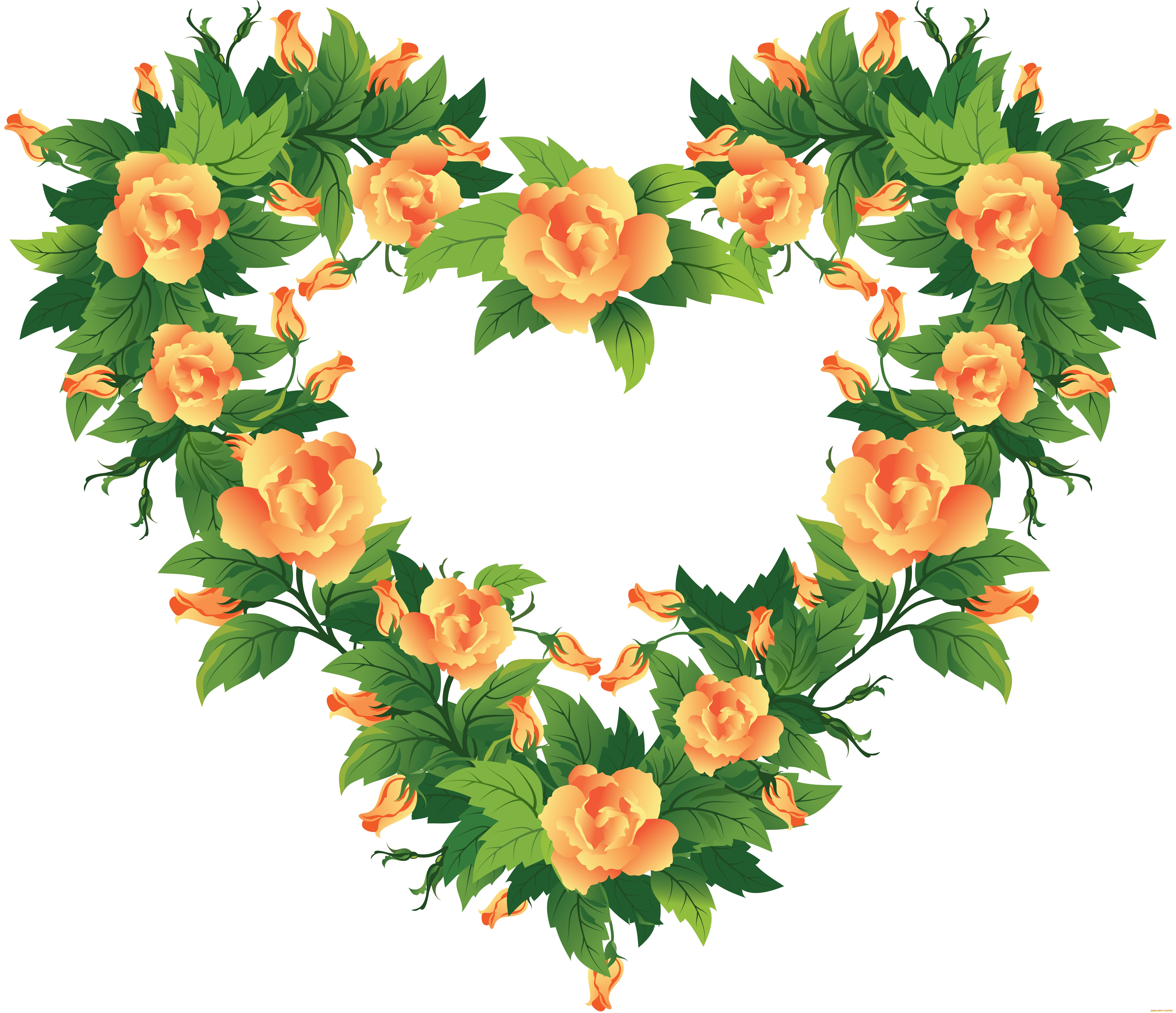 векторная, графика, цветы, , flowers, венок, цветы