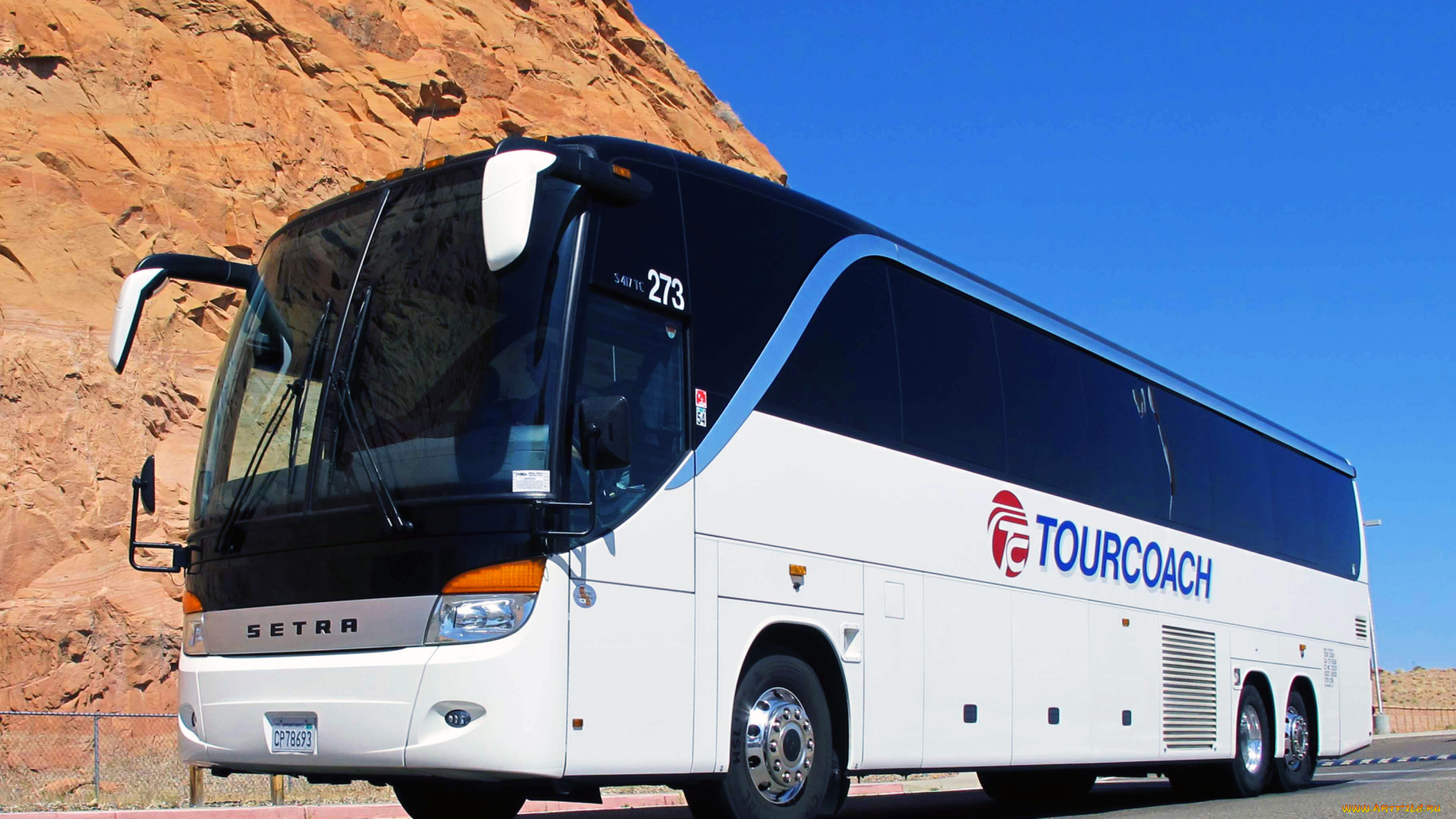 автомобили, автобусы, setra