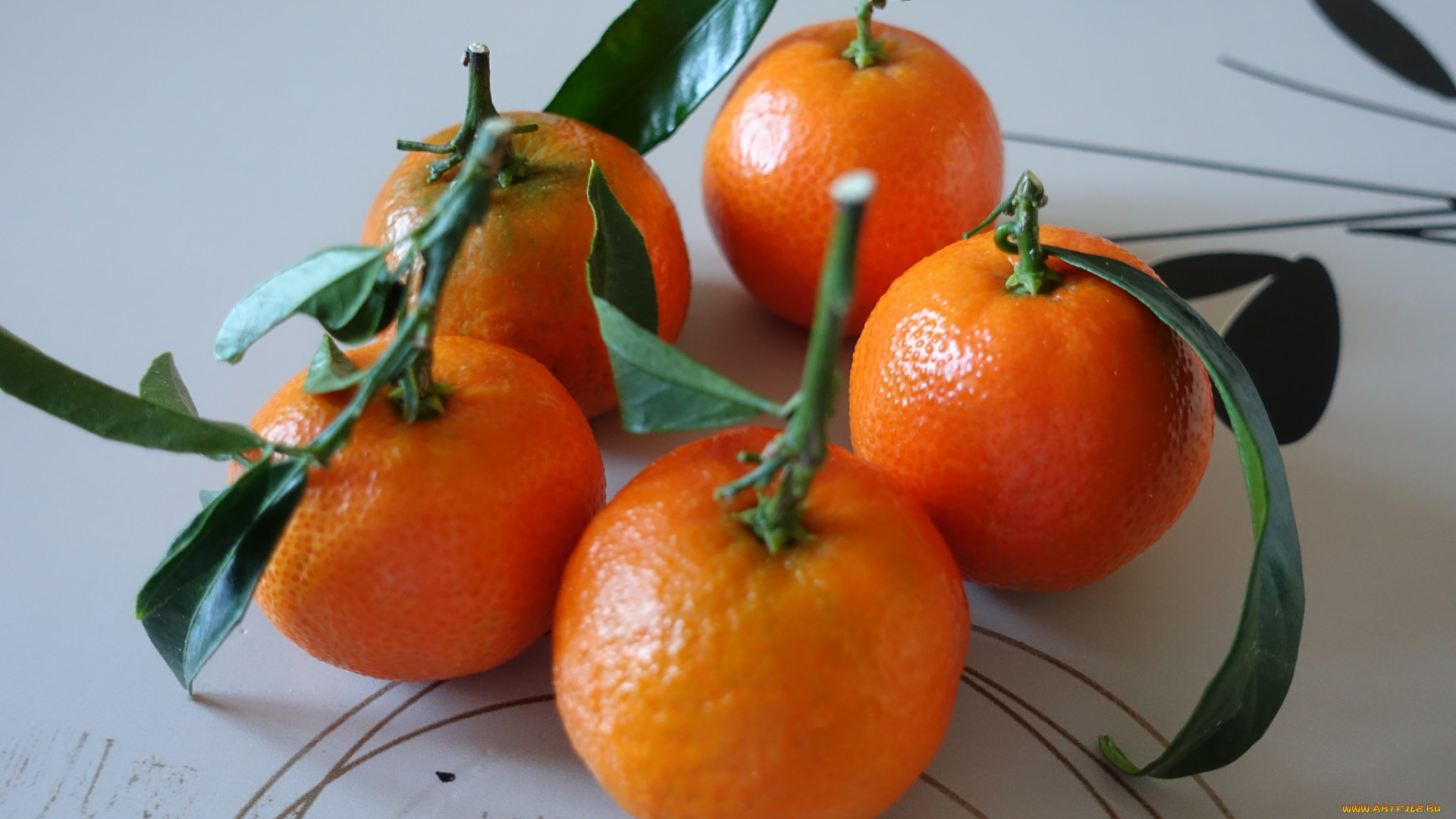 еда, цитрусы, плоды