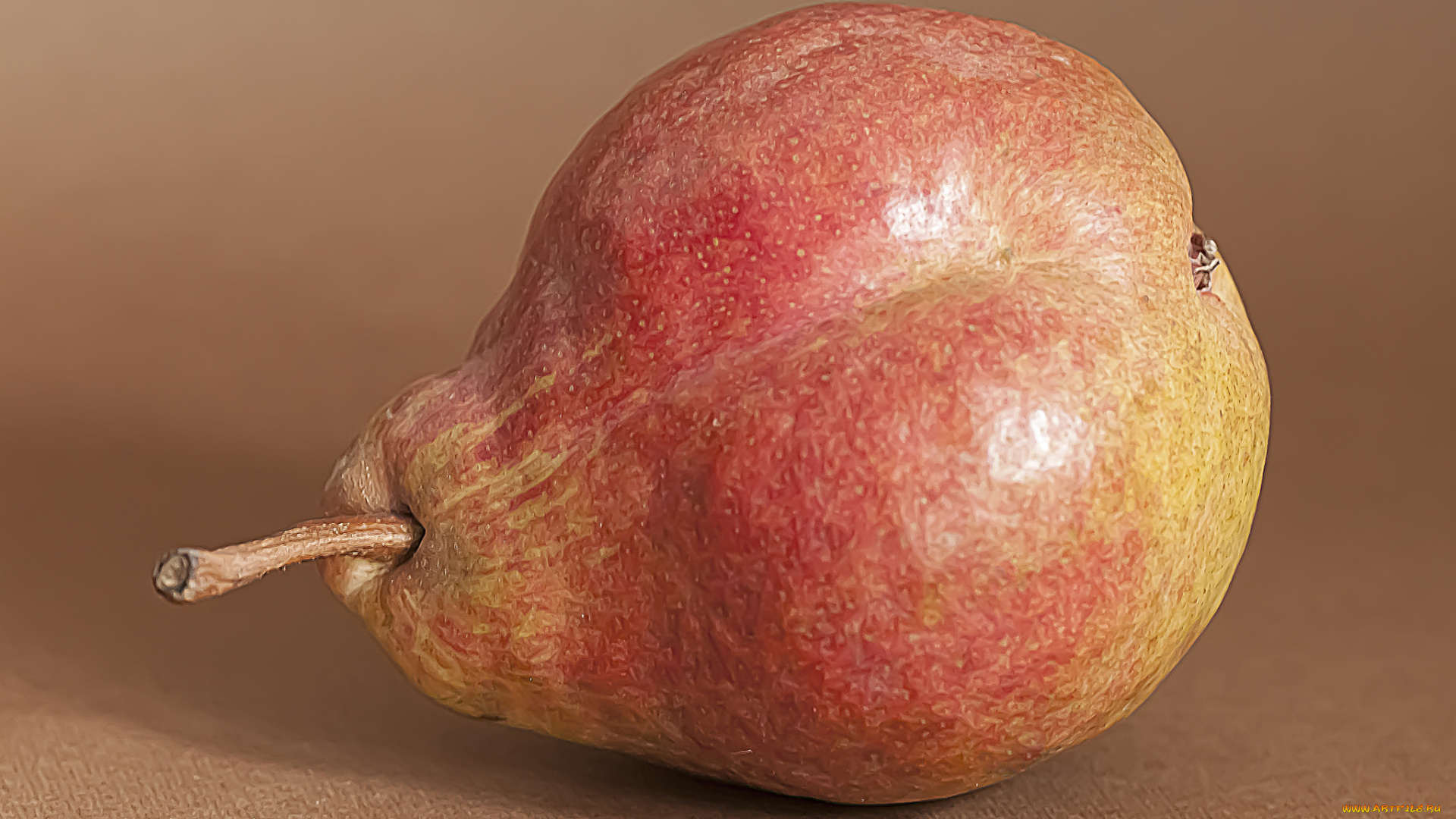 еда, груши, плоды