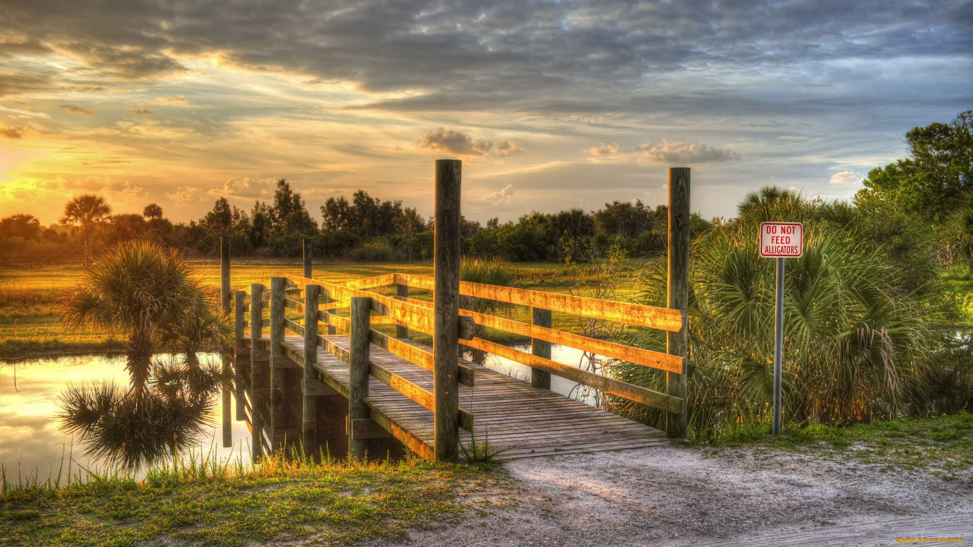 природа, дороги, рассвет