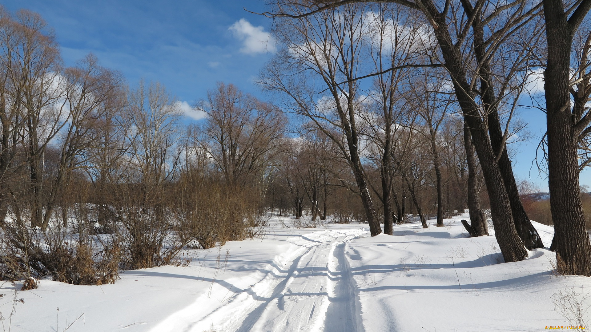 природа, дороги, снег, деревья