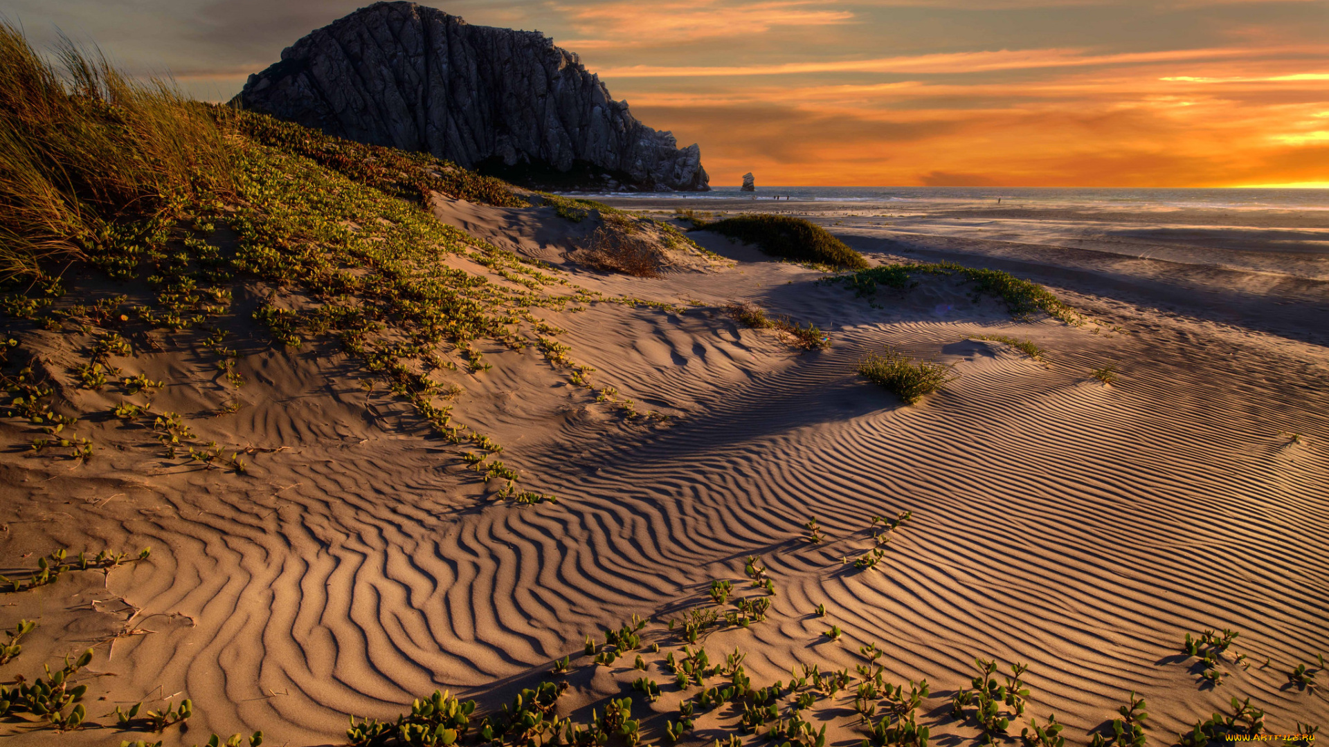 природа, побережье, дюны