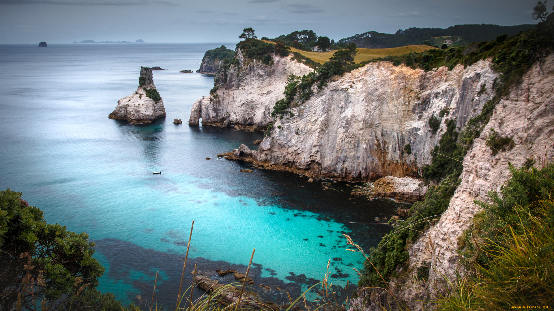 природа, побережье, море, берег