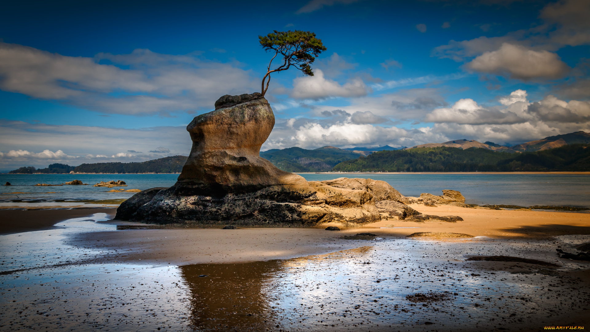 природа, побережье, море, берег