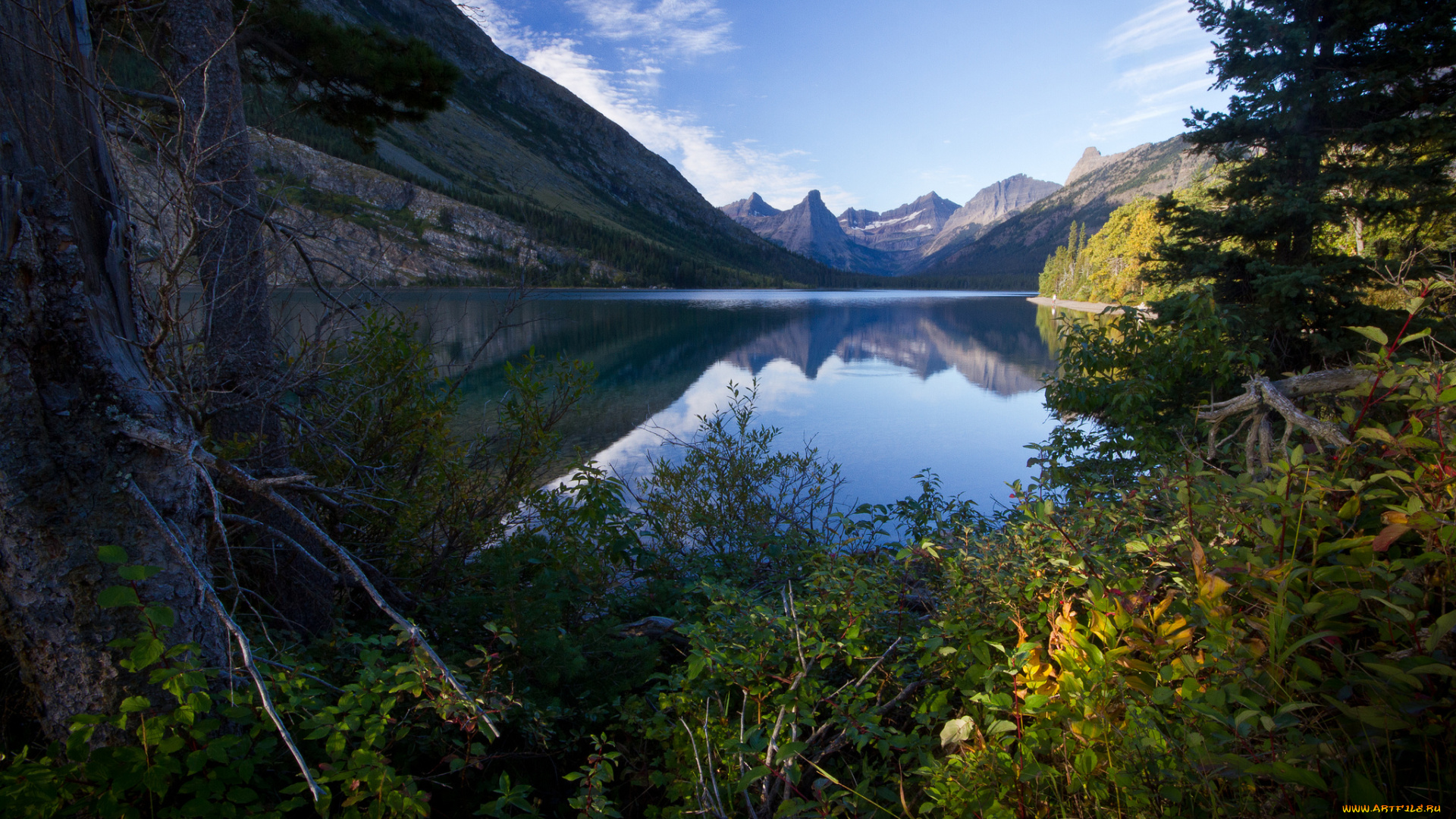 природа, реки, озера, горы, лес, река