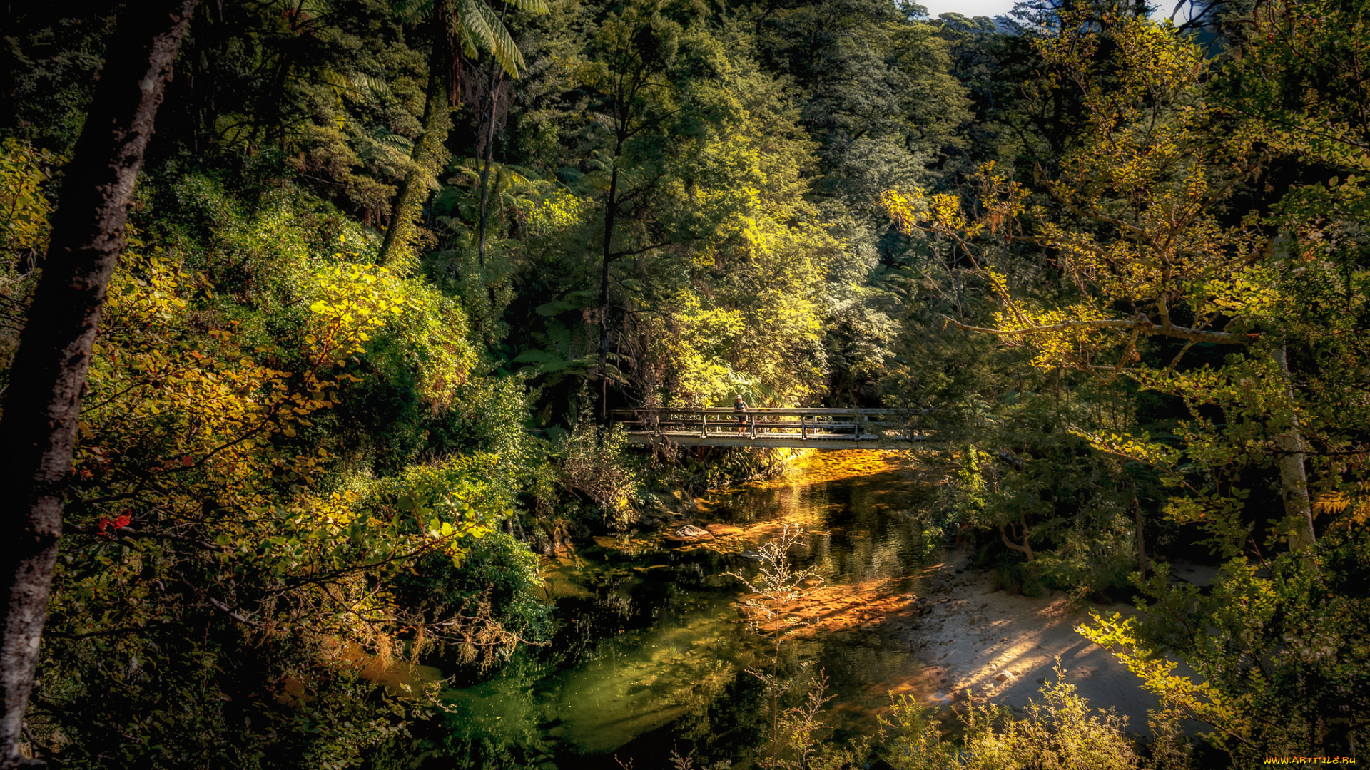 природа, реки, озера, лес, река